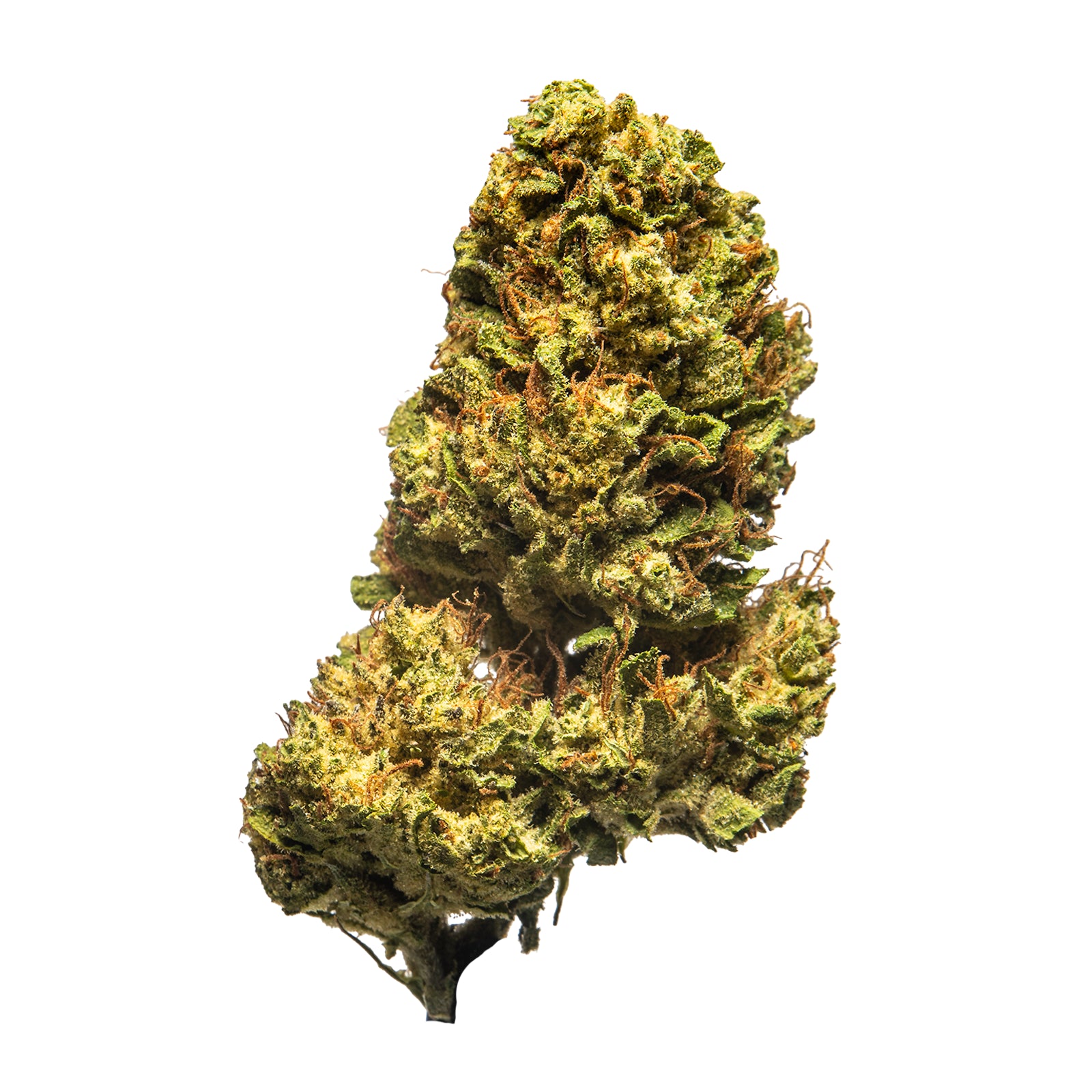 Palms-THCAFlower-BlueCherryGelato