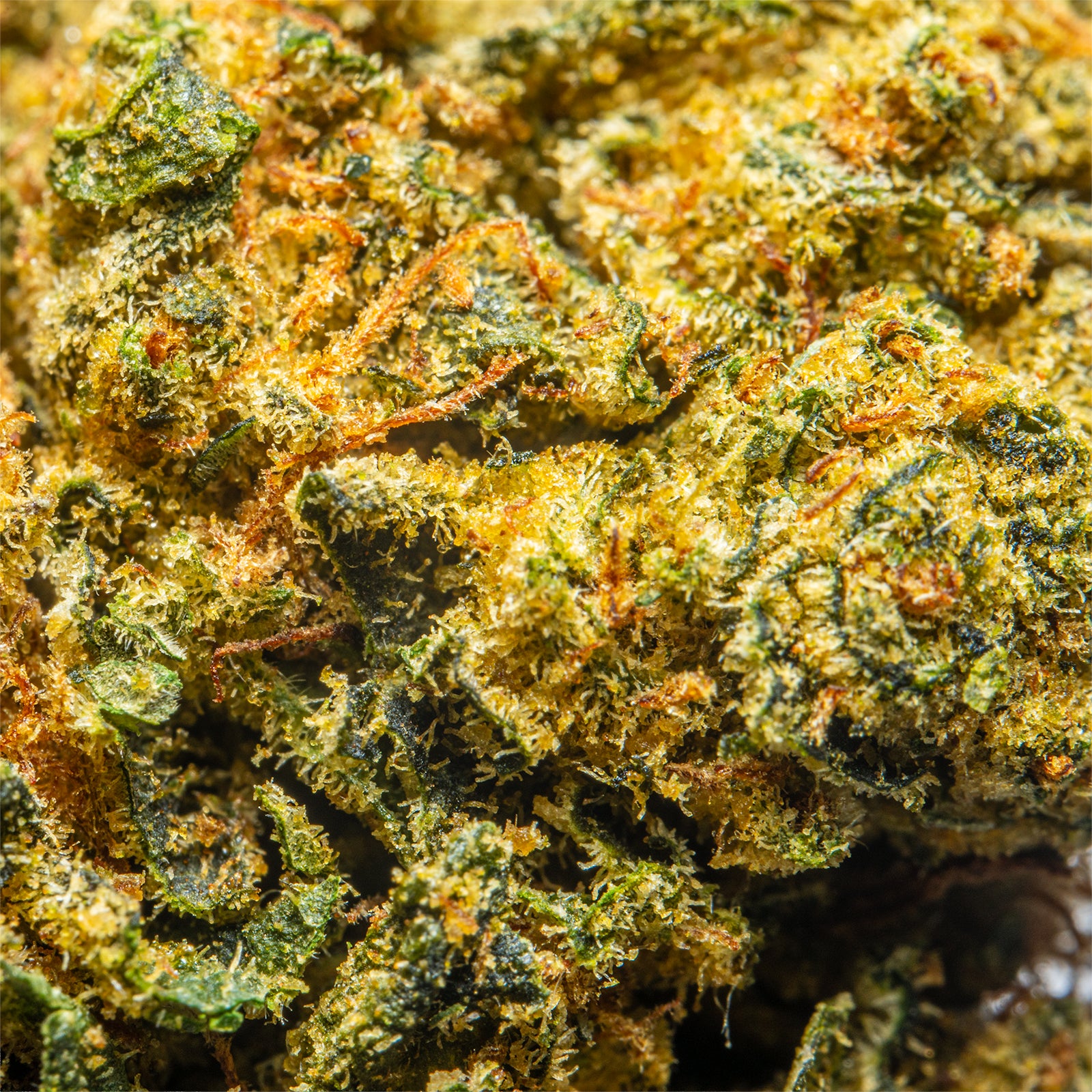 Palms-THCAFlower-OrangeCreamsicle