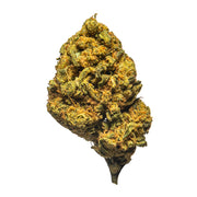 Palms-THCAFlower-OrangeCreamsicle
