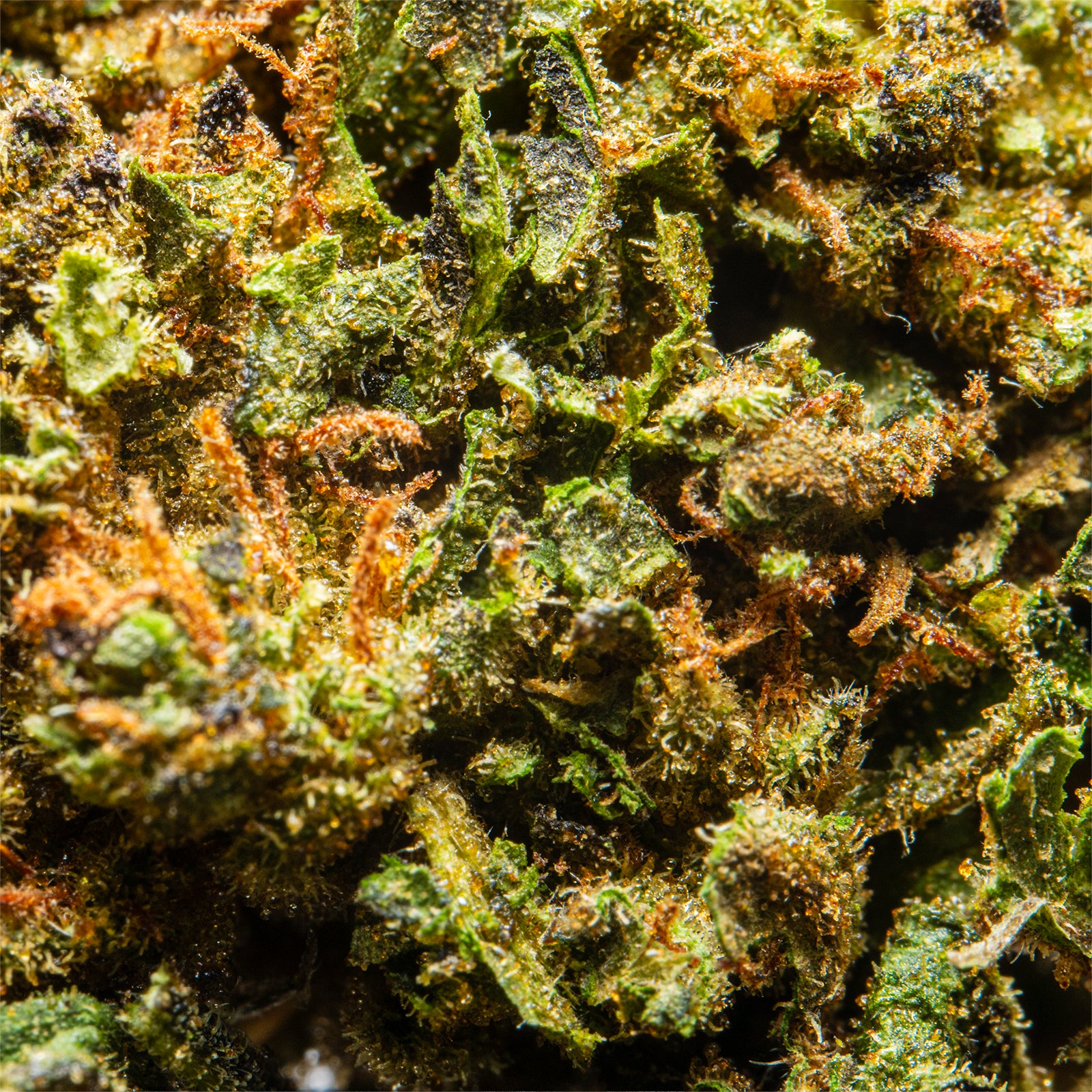 Palms-THCAFlower-TopGun