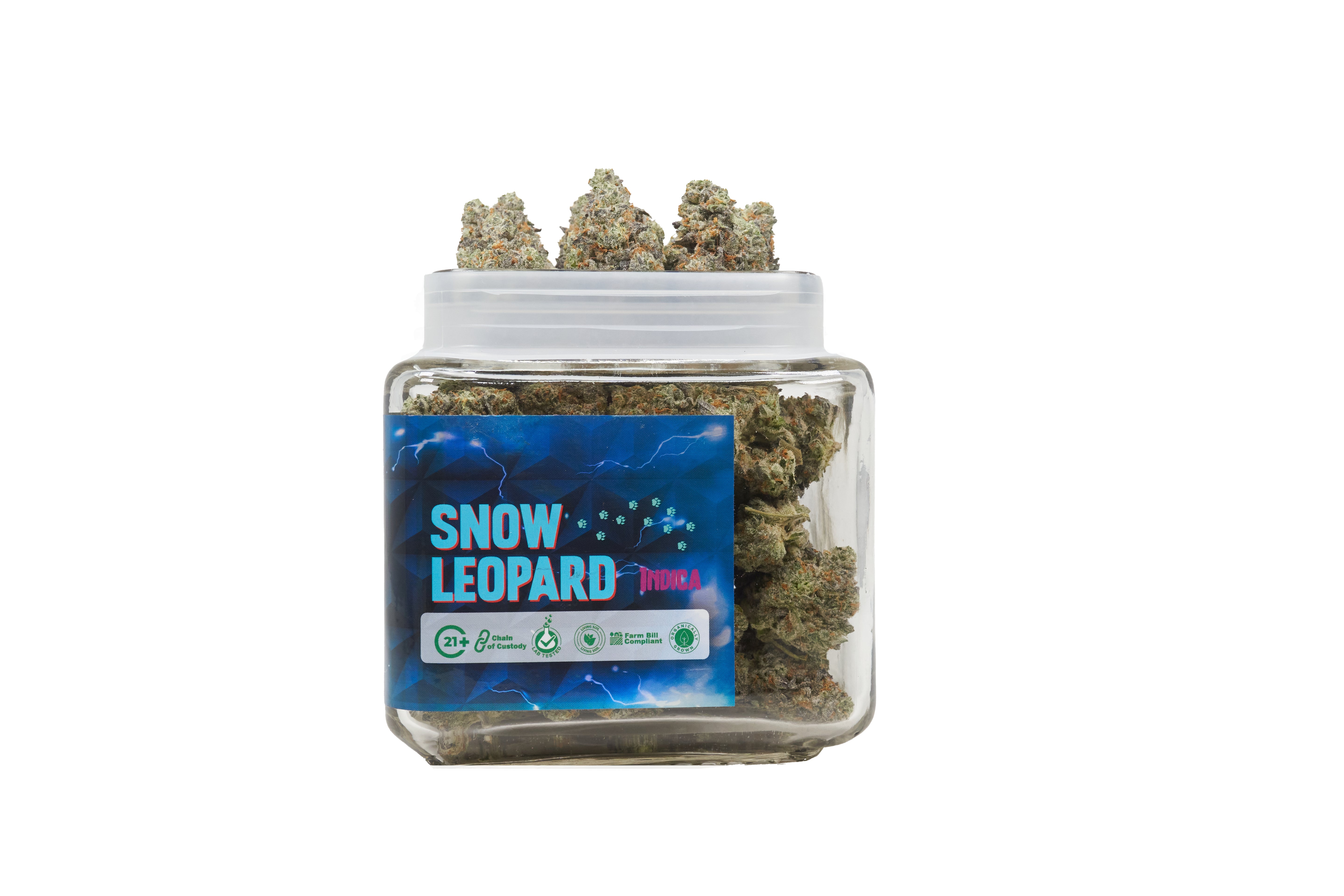 Top Jar Snow Leopord - Flower Bigs