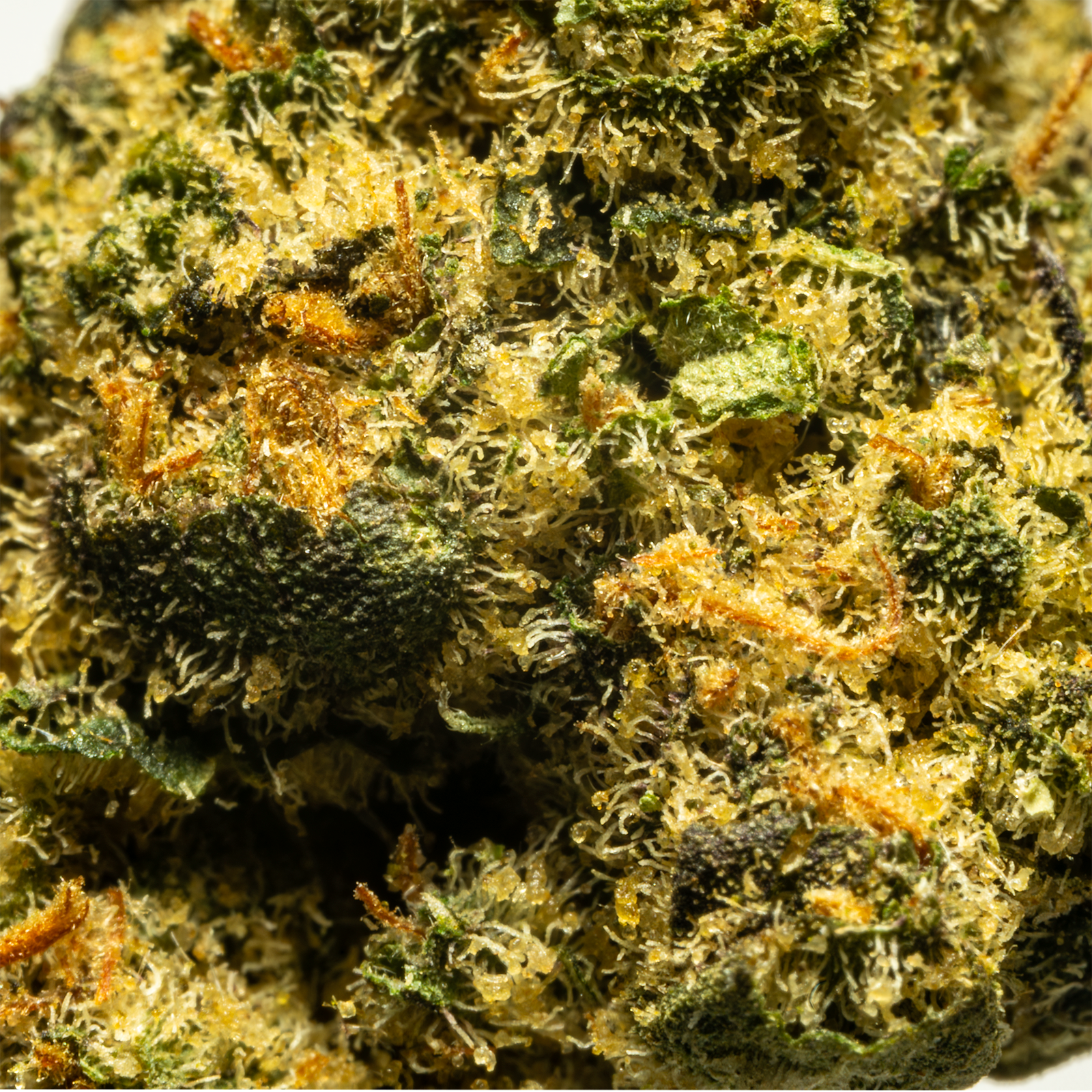 Stax Guavalicious - THCA Flower Smalls