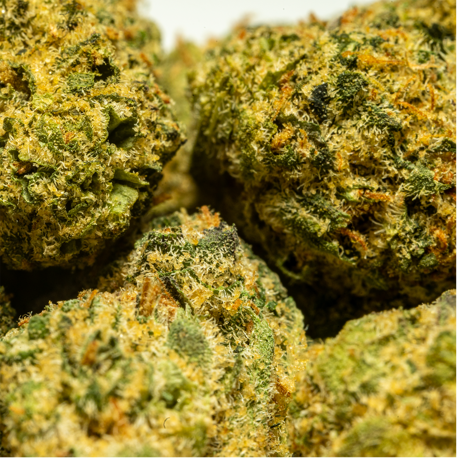 Stax Guavalicious - THCA Flower Smalls
