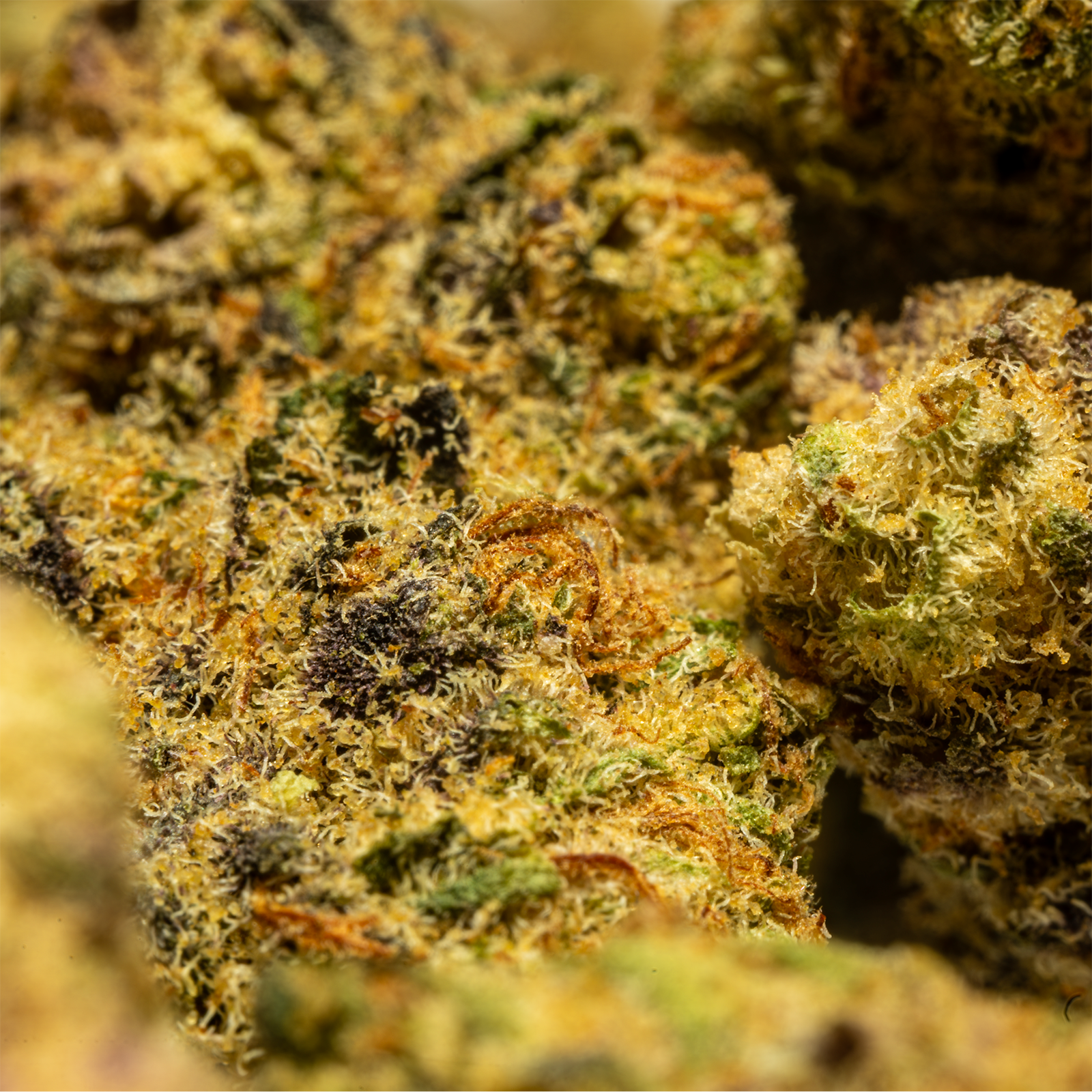 Stax Huckleberry Soda - THCA Flower Smalls