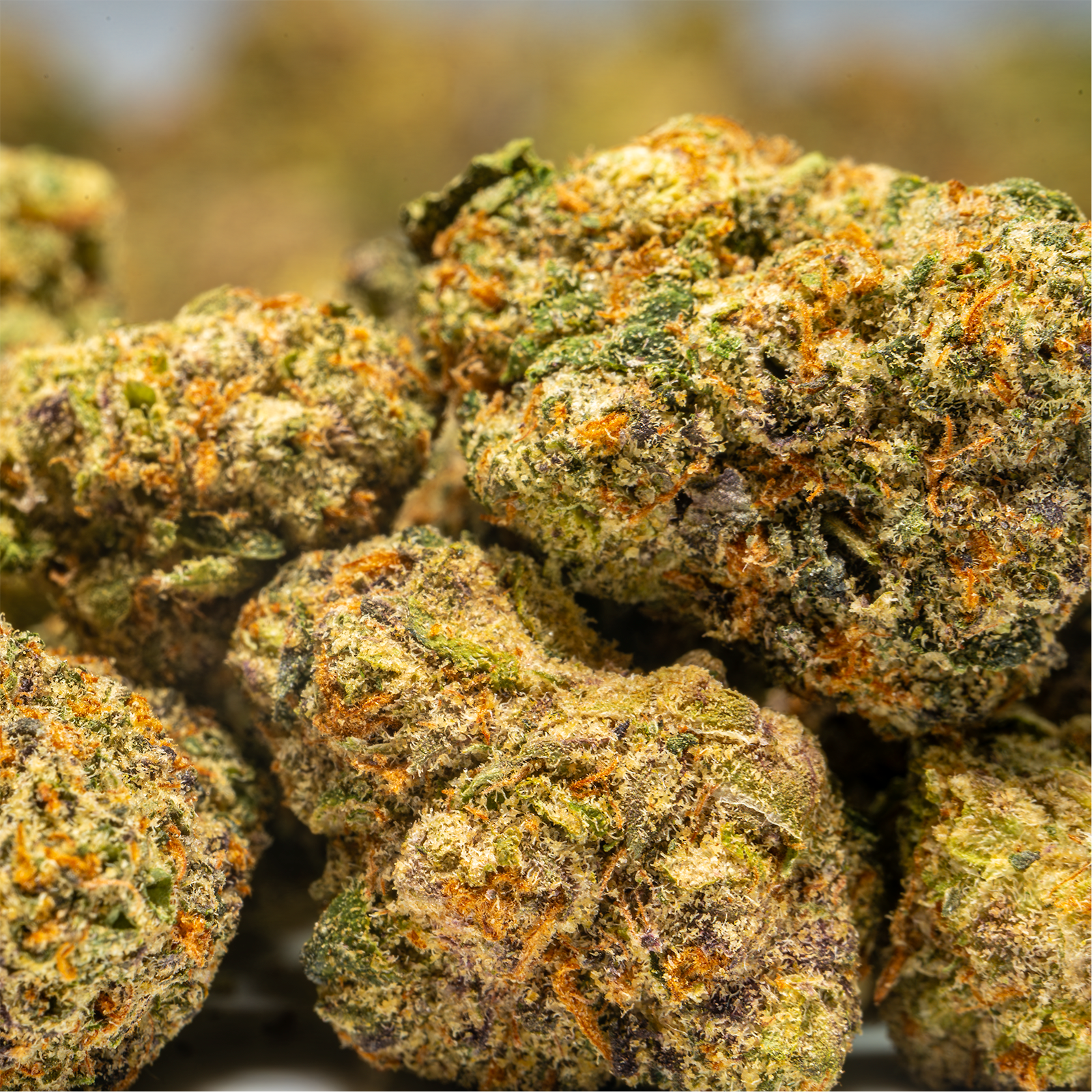 Stax Illemonati - THCA Flower Smalls