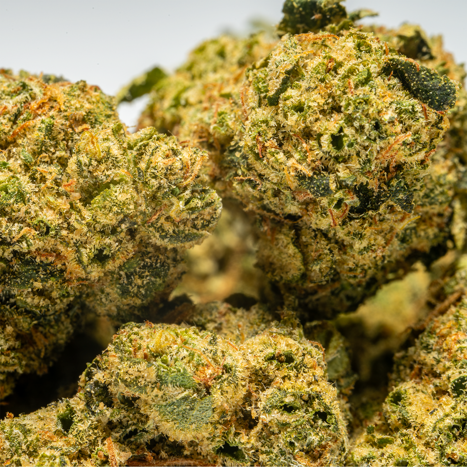 Stax Orange Cannoli - THCA Flower Smalls