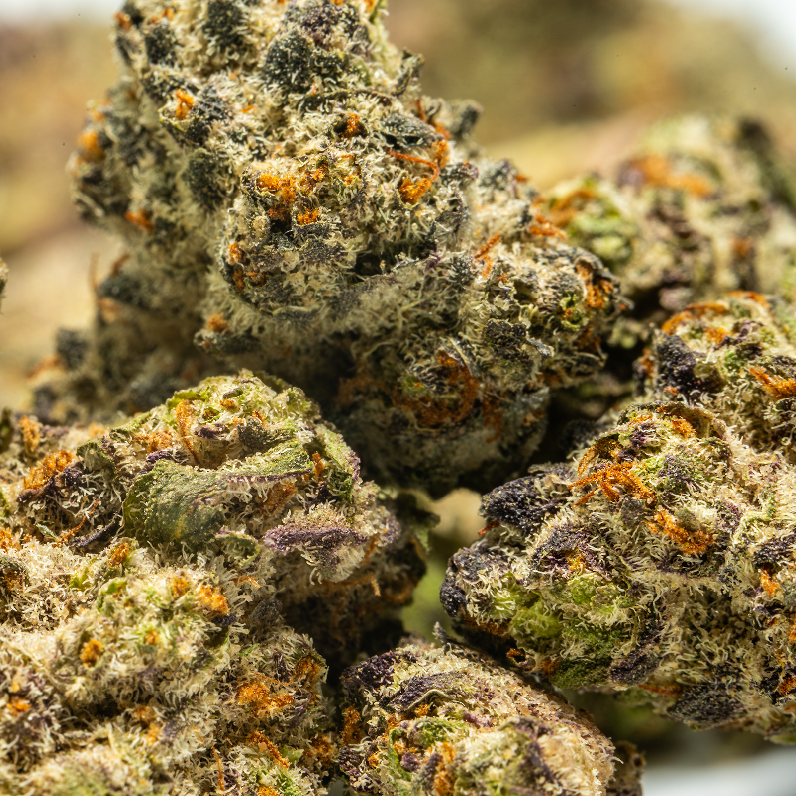 Stax Tropicana Cherry - THCA Flower Smalls
