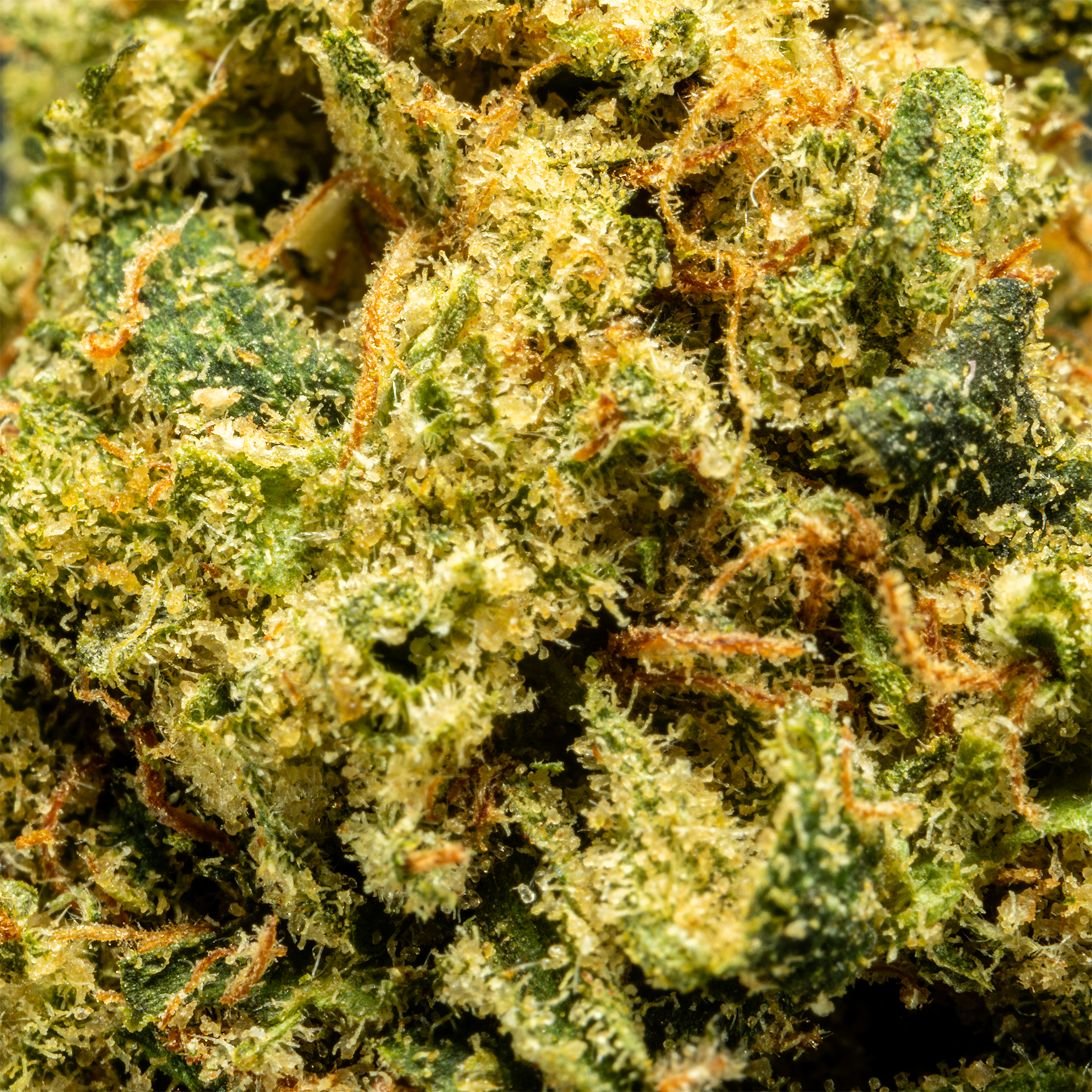 Stax Orange Cannoli - THCA Flower Smalls