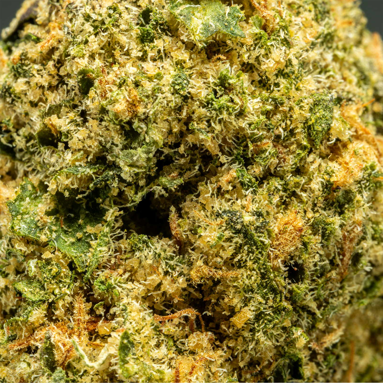 Stax Pineapple Dog Shit - THCA Flower Smalls