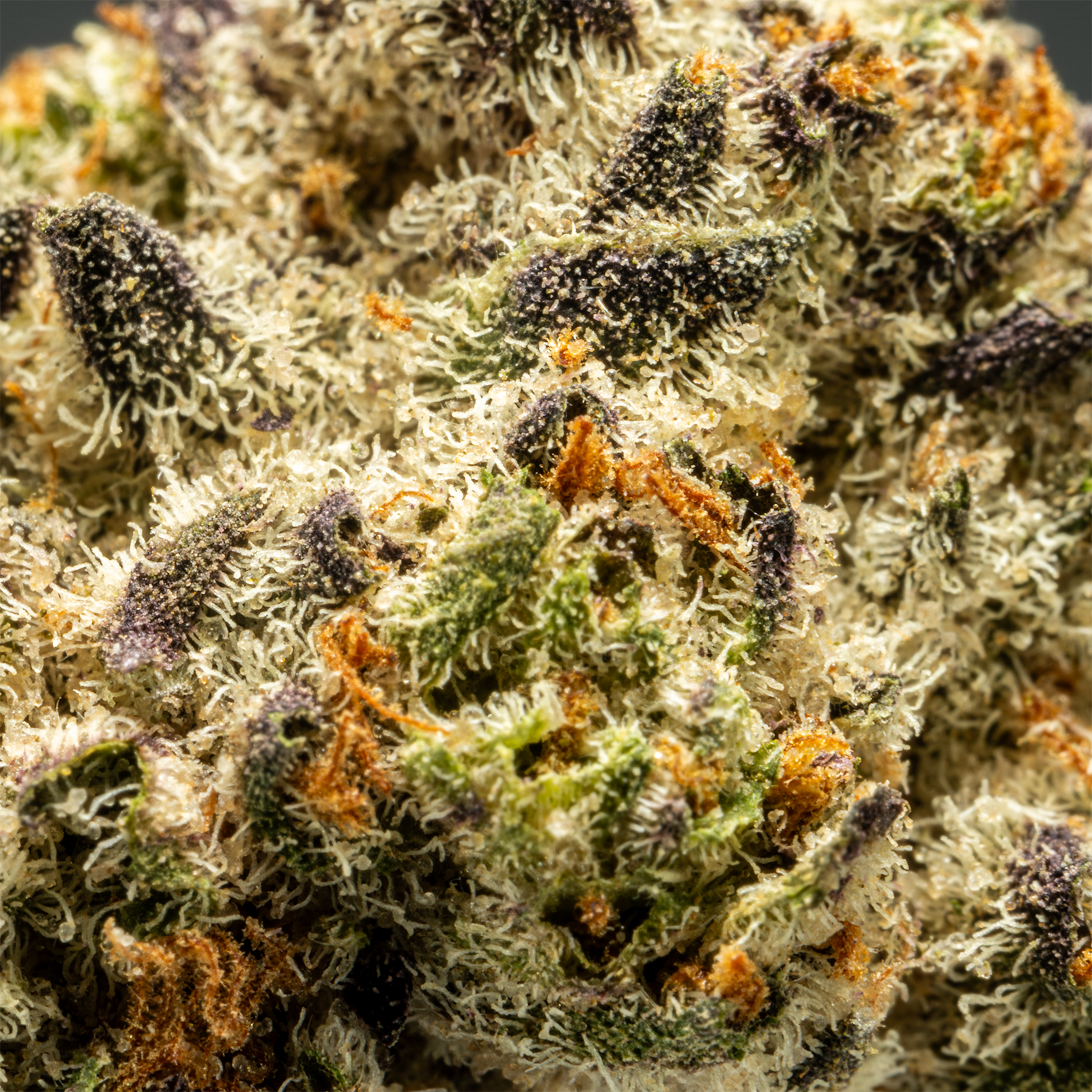 Stax Tropicana Cherry - THCA Flower Smalls