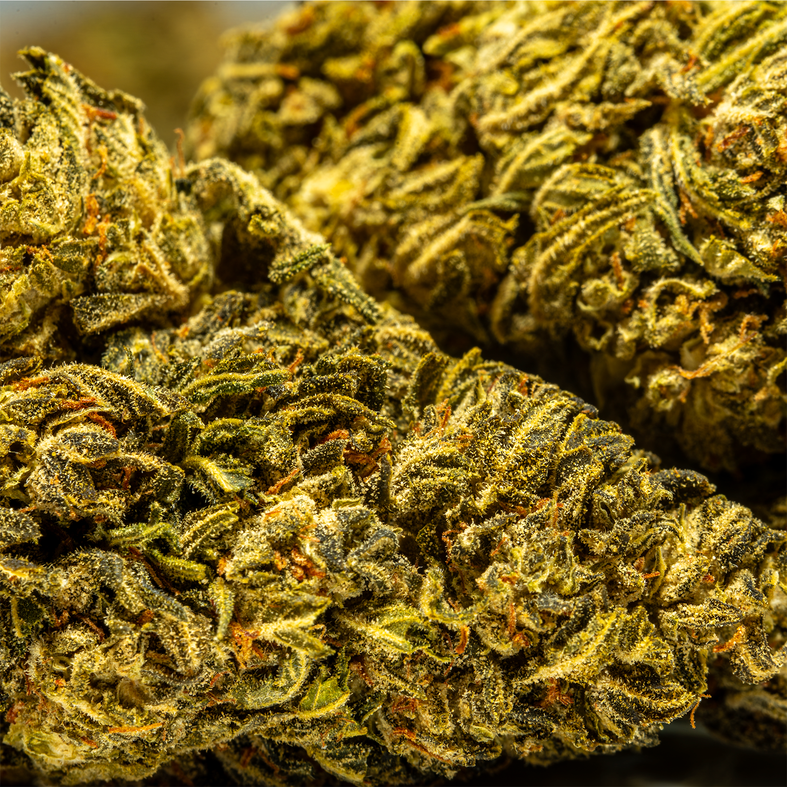 HHCA_Super_Flower_-_4.2g