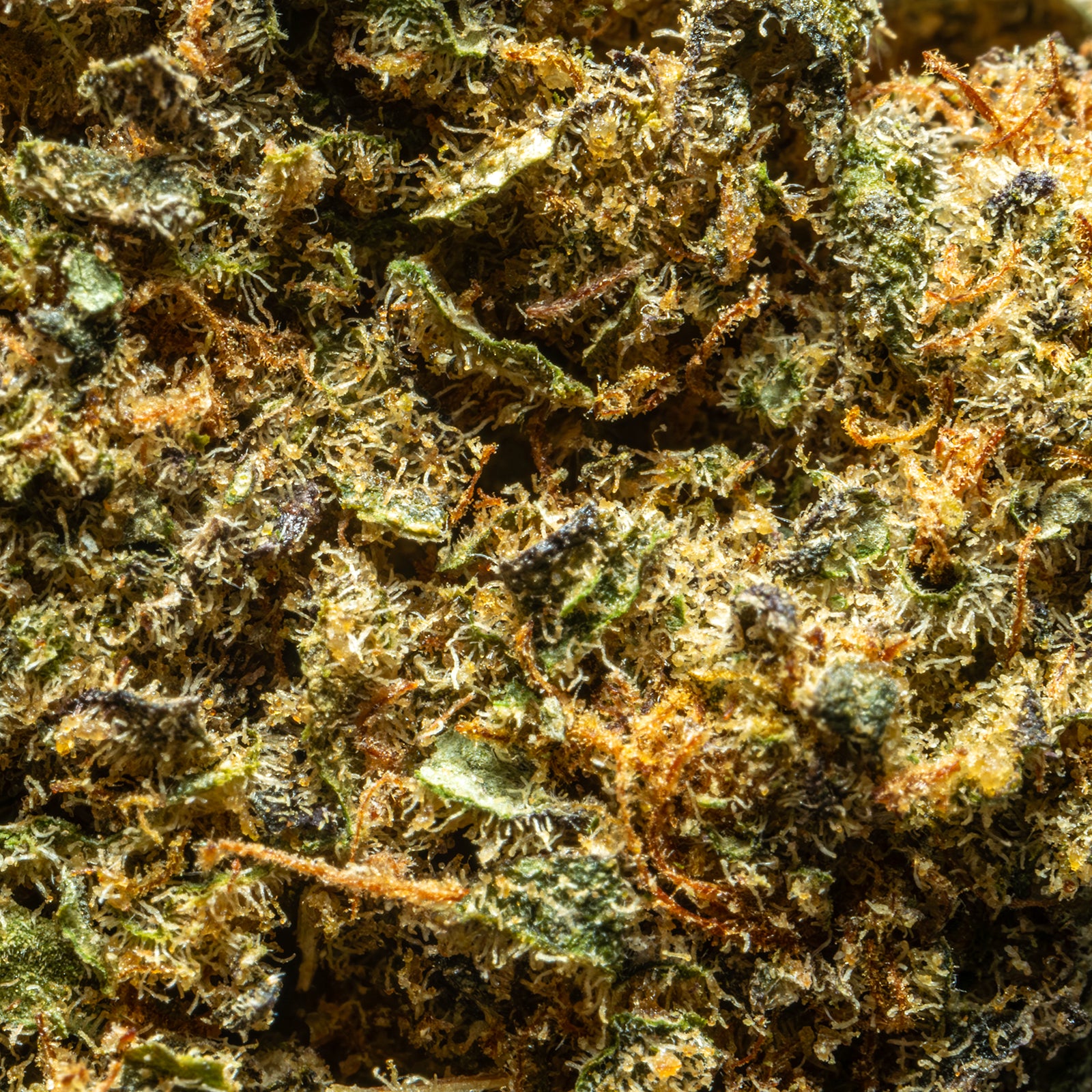 THCAFlower-SuperLemonHaze