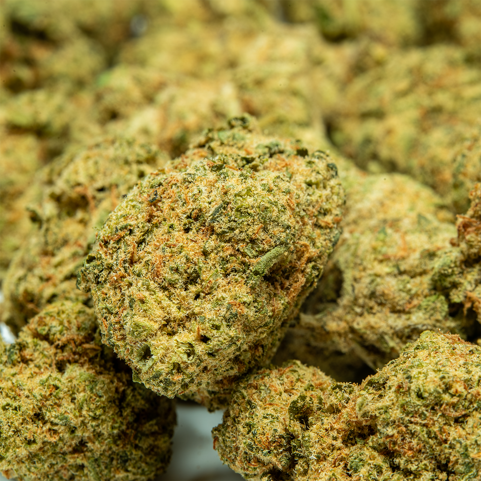 THCA_Flower_-_Apple_Fritter