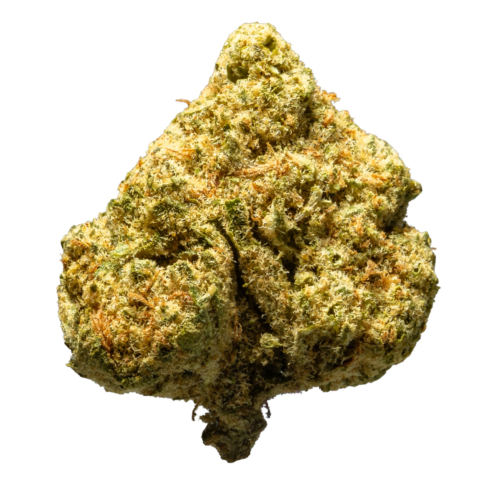 THCA_Flower_-_Apple_Fritter