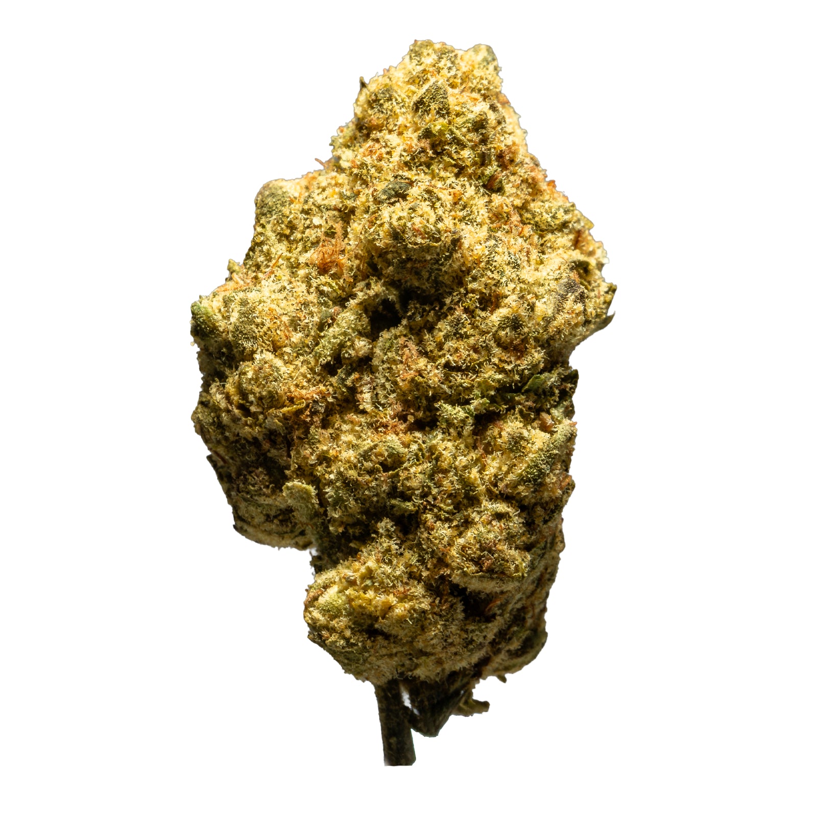 THCA_Flower_-_Black_Garlic_Gelato