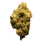 THCA_Flower_-_Black_Garlic_Gelato