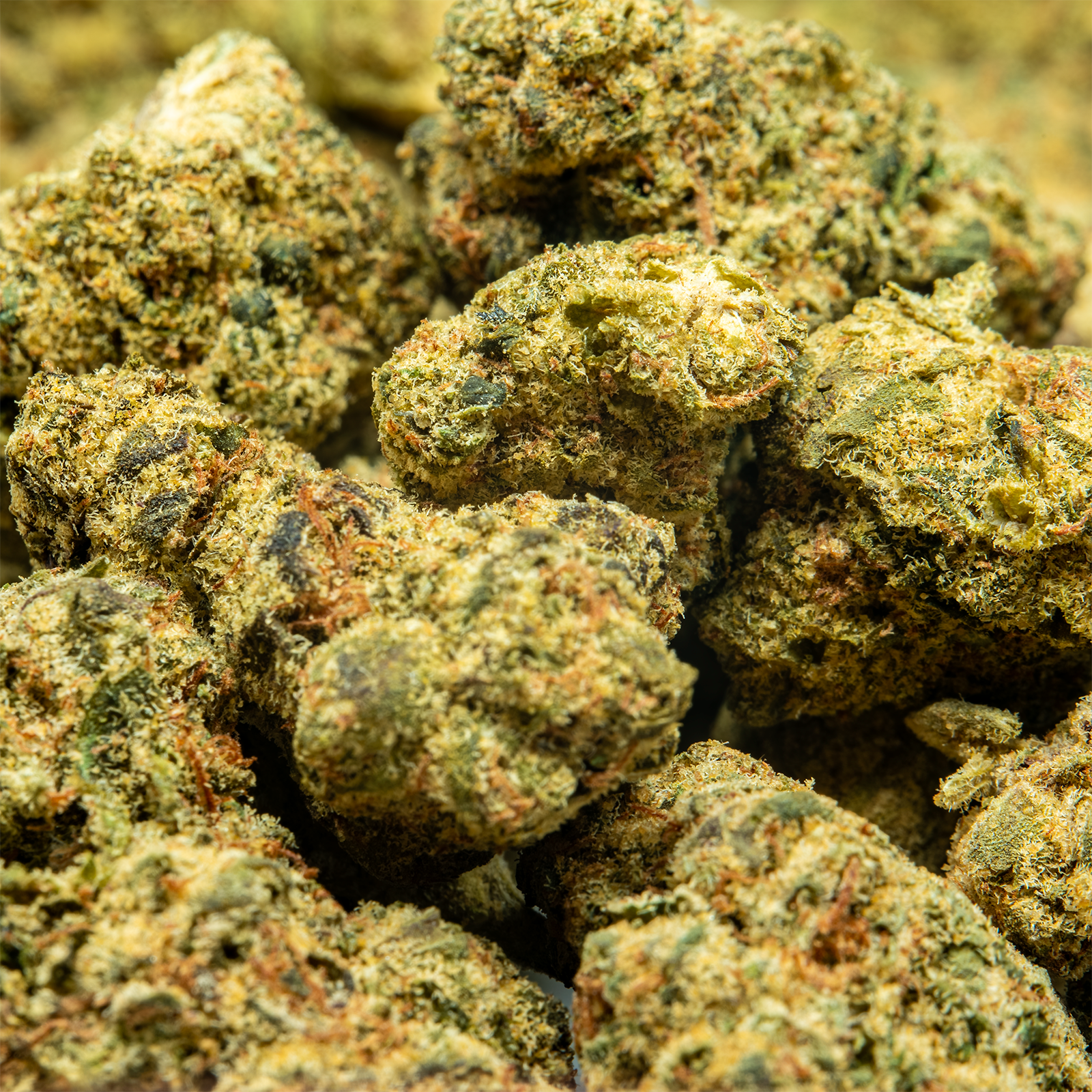 THCA_Flower_-_Black_Garlic_Gelato