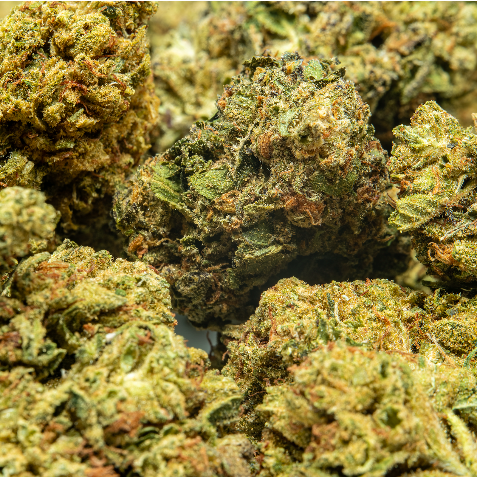 THCA_Flower_-_Hood_Candy