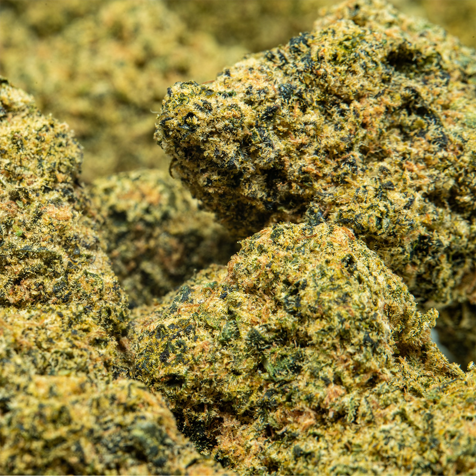THCA_Flower_-_Kush_Mintz