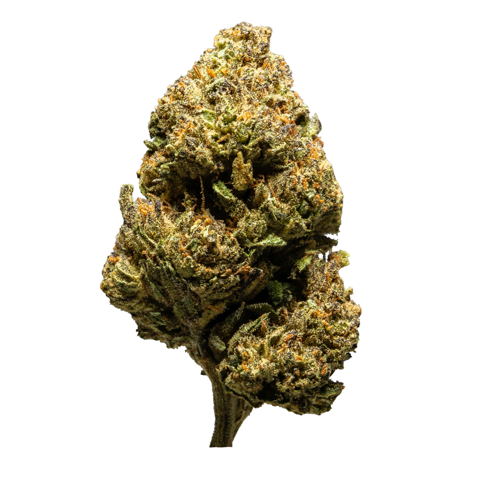 THCA_Flower_-_Oreoz