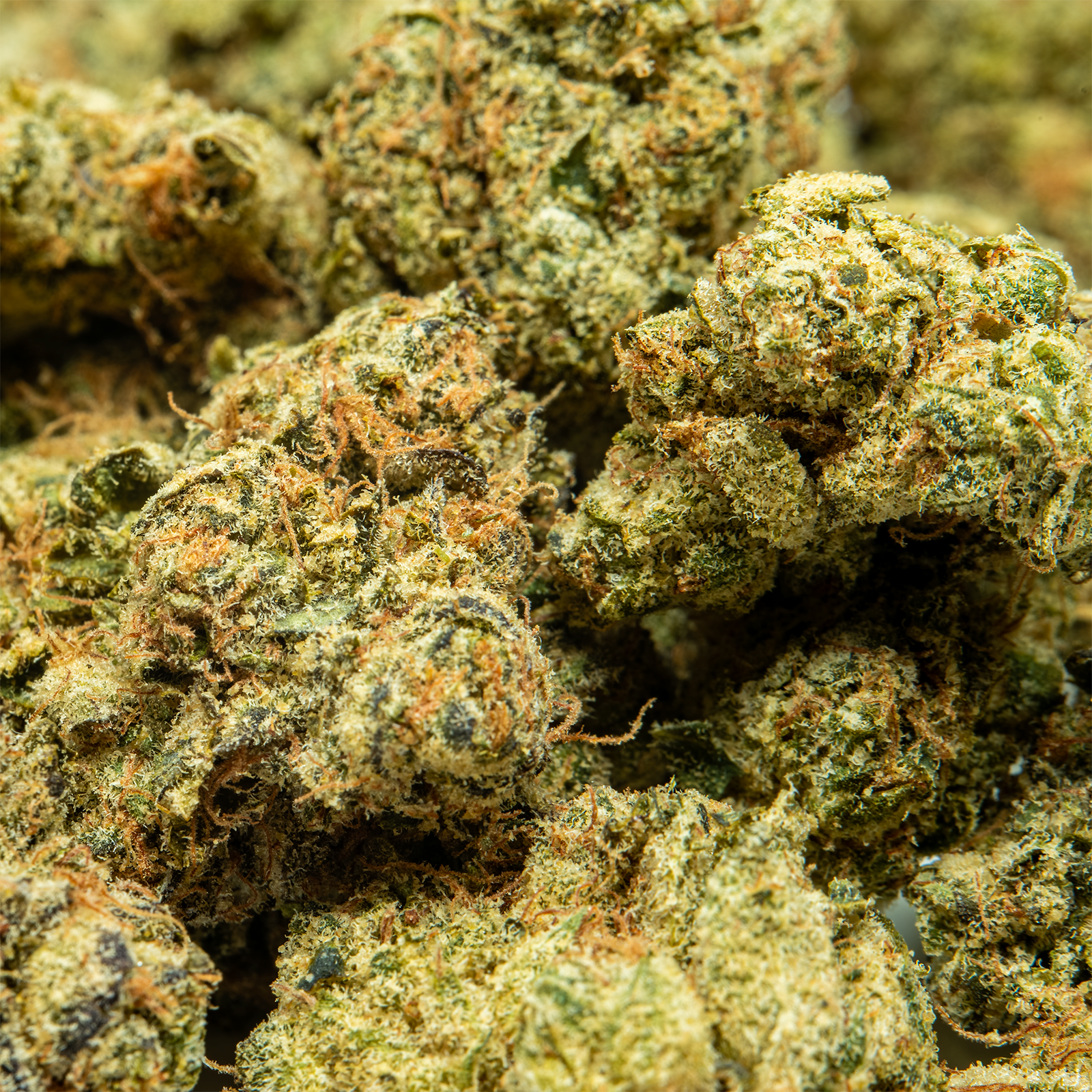THCA_Flower_-_Runtz