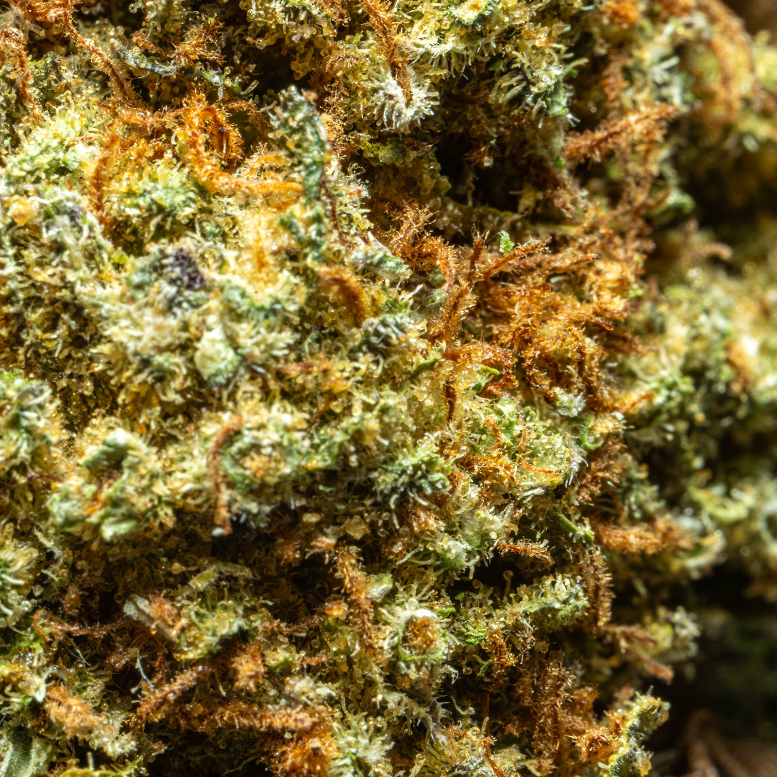 THCA_Flower_-_Snowcap