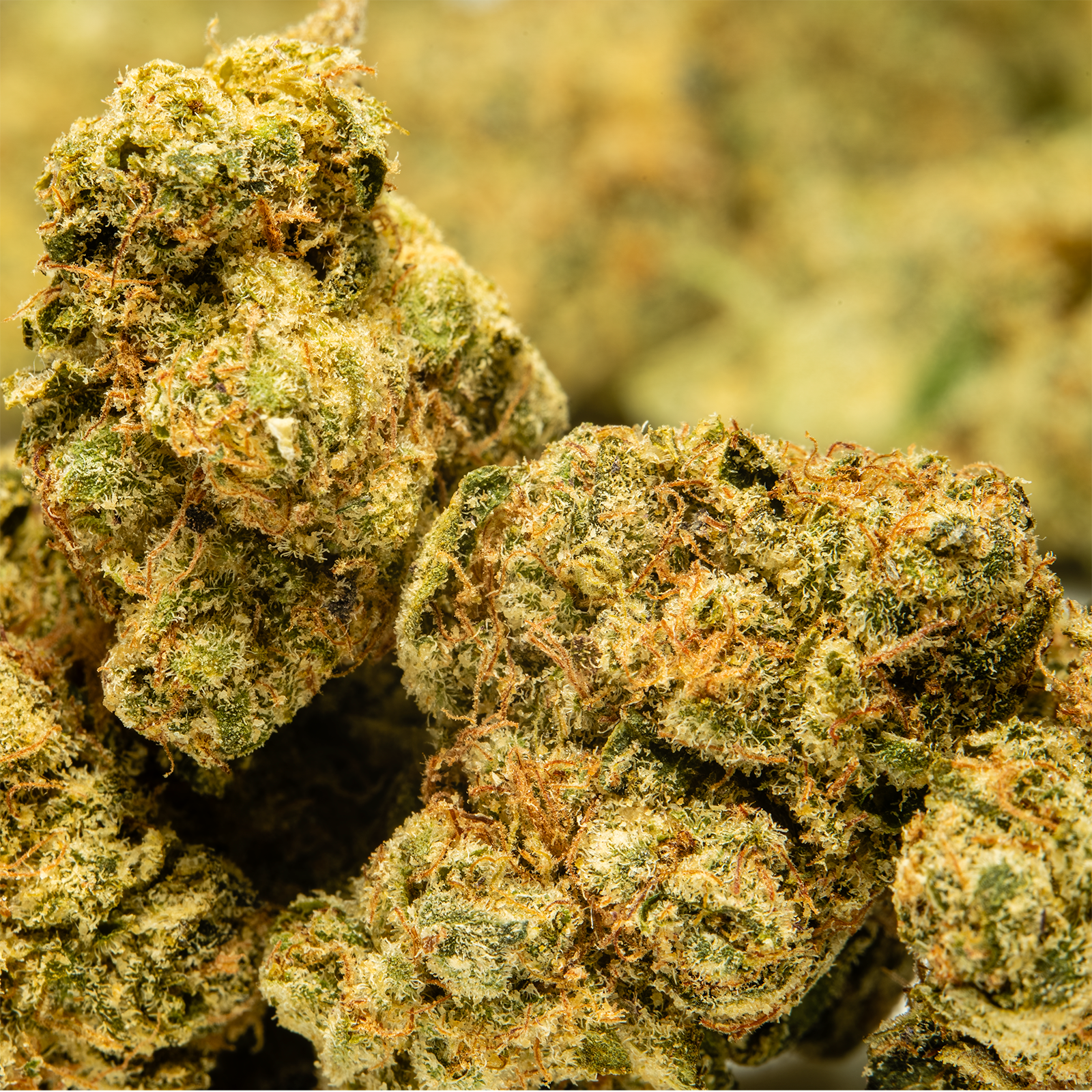THCA_Flower_-_Lime_Skunk