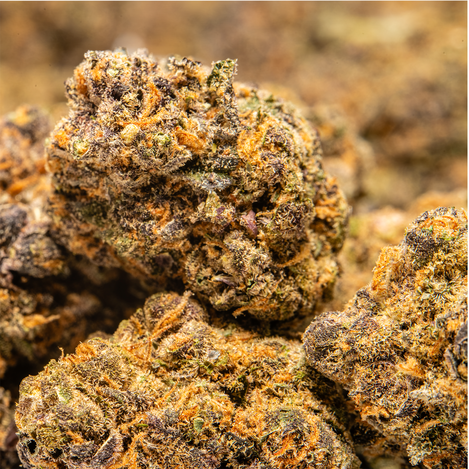 THCA_Flower_-_Purple_Cream