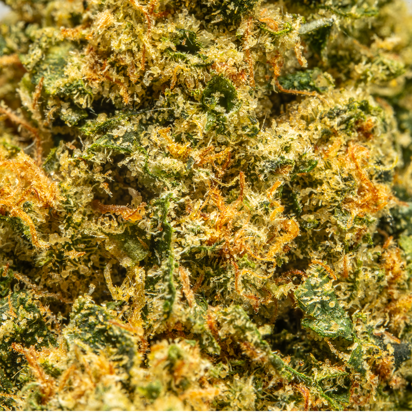 Top Jar Black Diamond - Flower Bigs