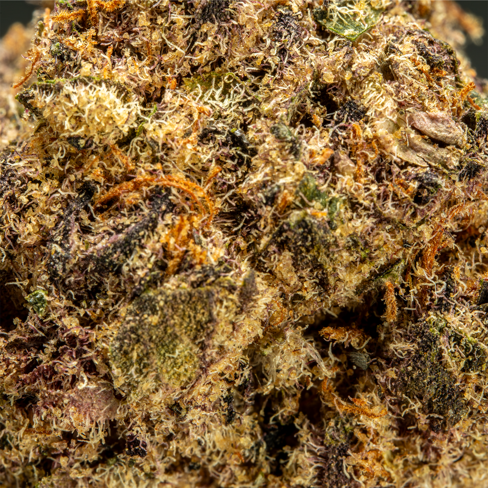 Top Jar Blockberry - Flower Bigs