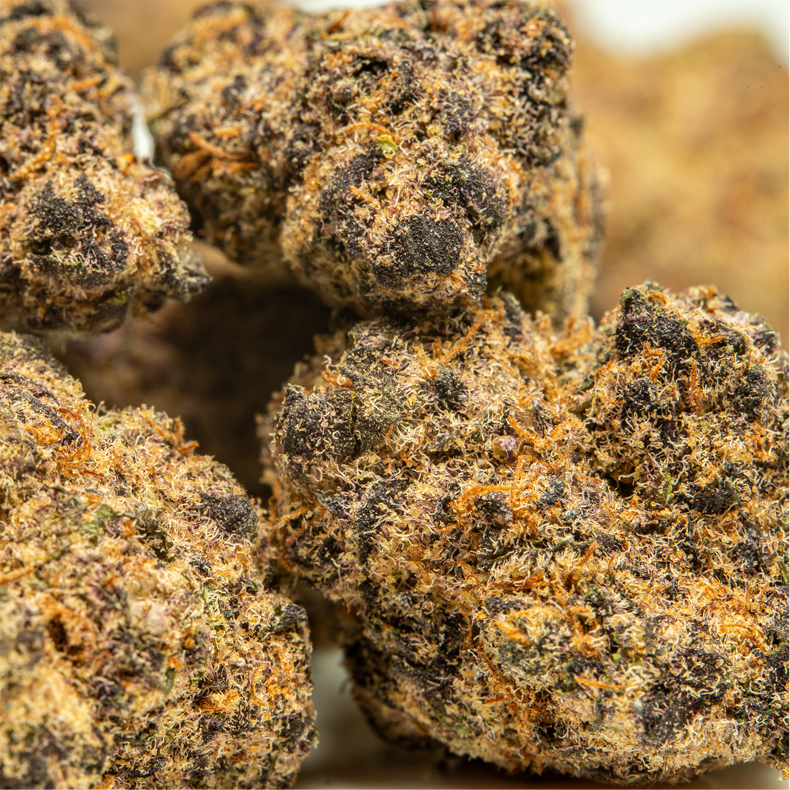 Top Jar Blockberry - Flower Bigs
