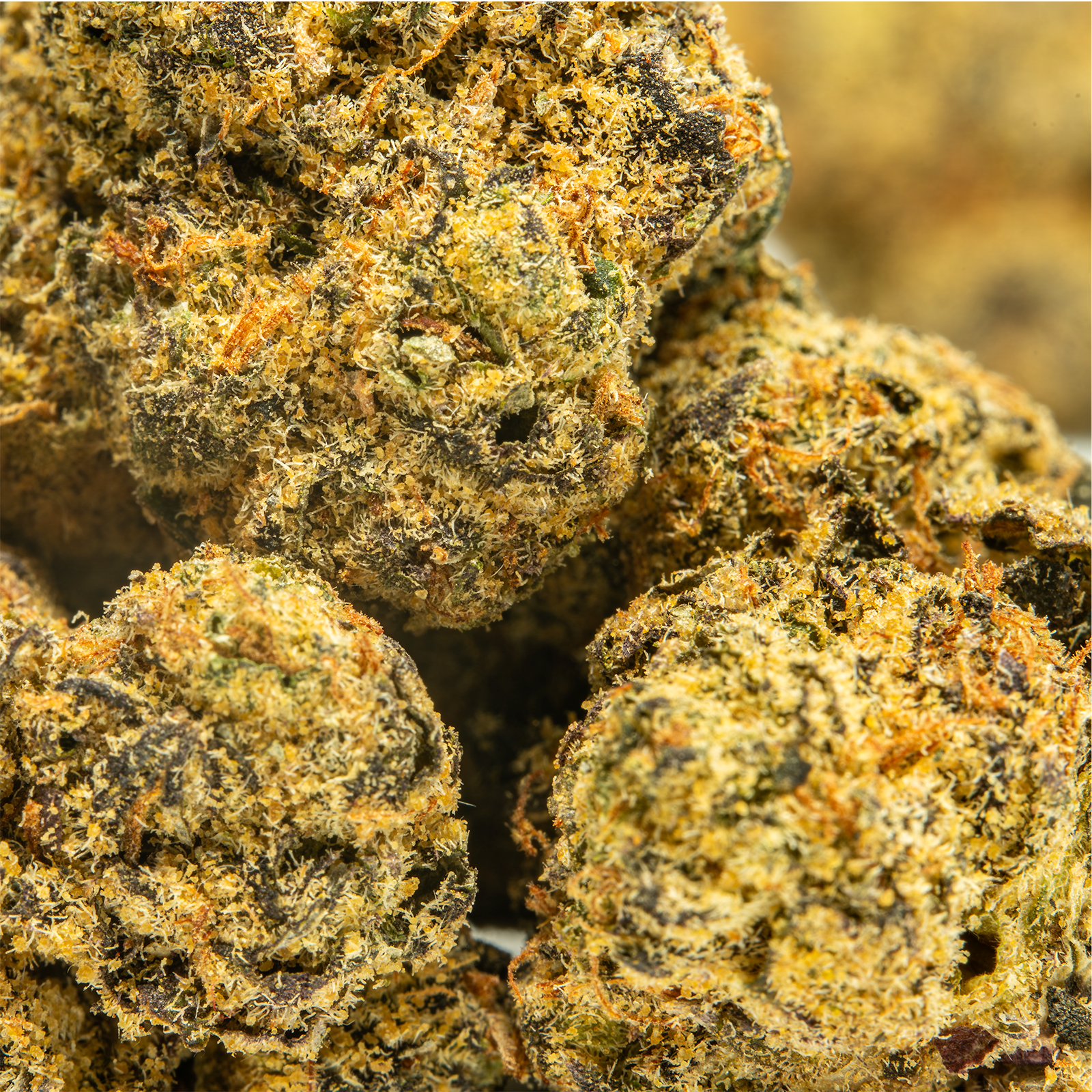 Top Jar Bubble Gum Gelato - Flower Bigs