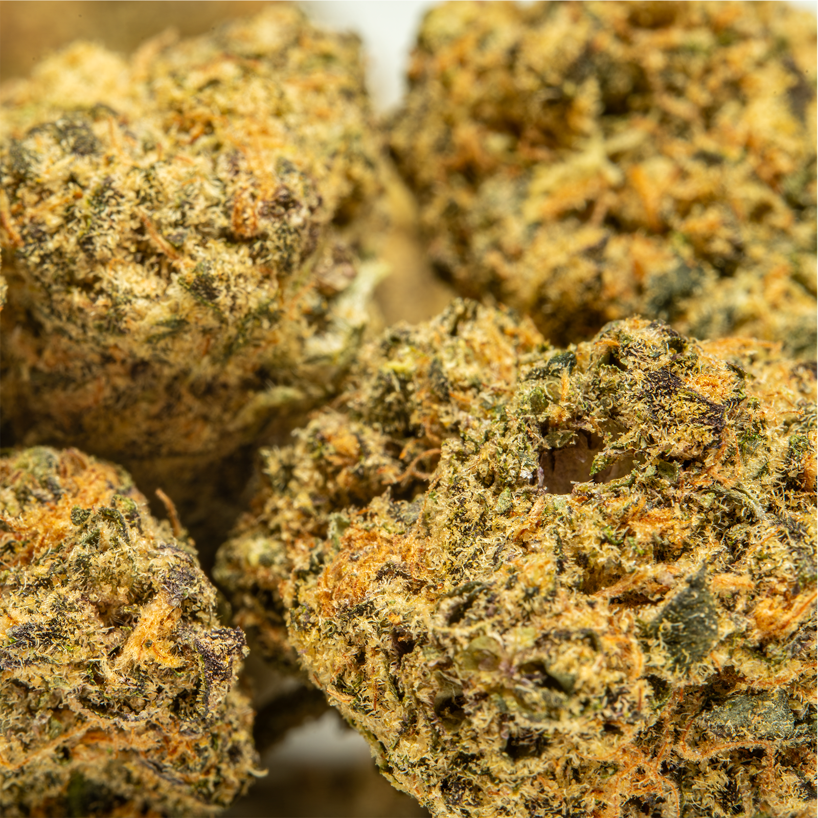 Top Jar LA Push Pop - Flower Bigs