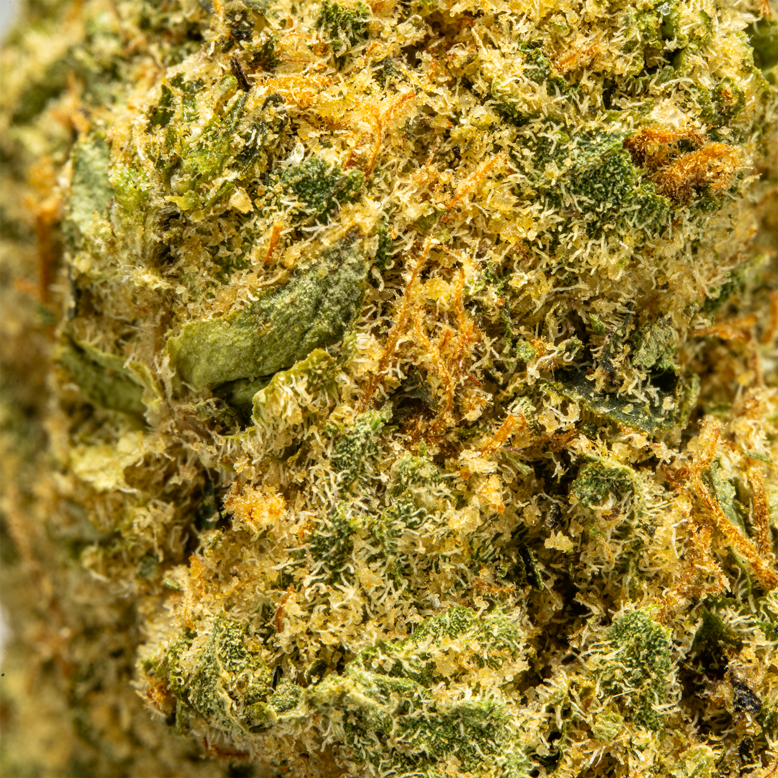Top Jar Lime Skunk - Flower Bigs