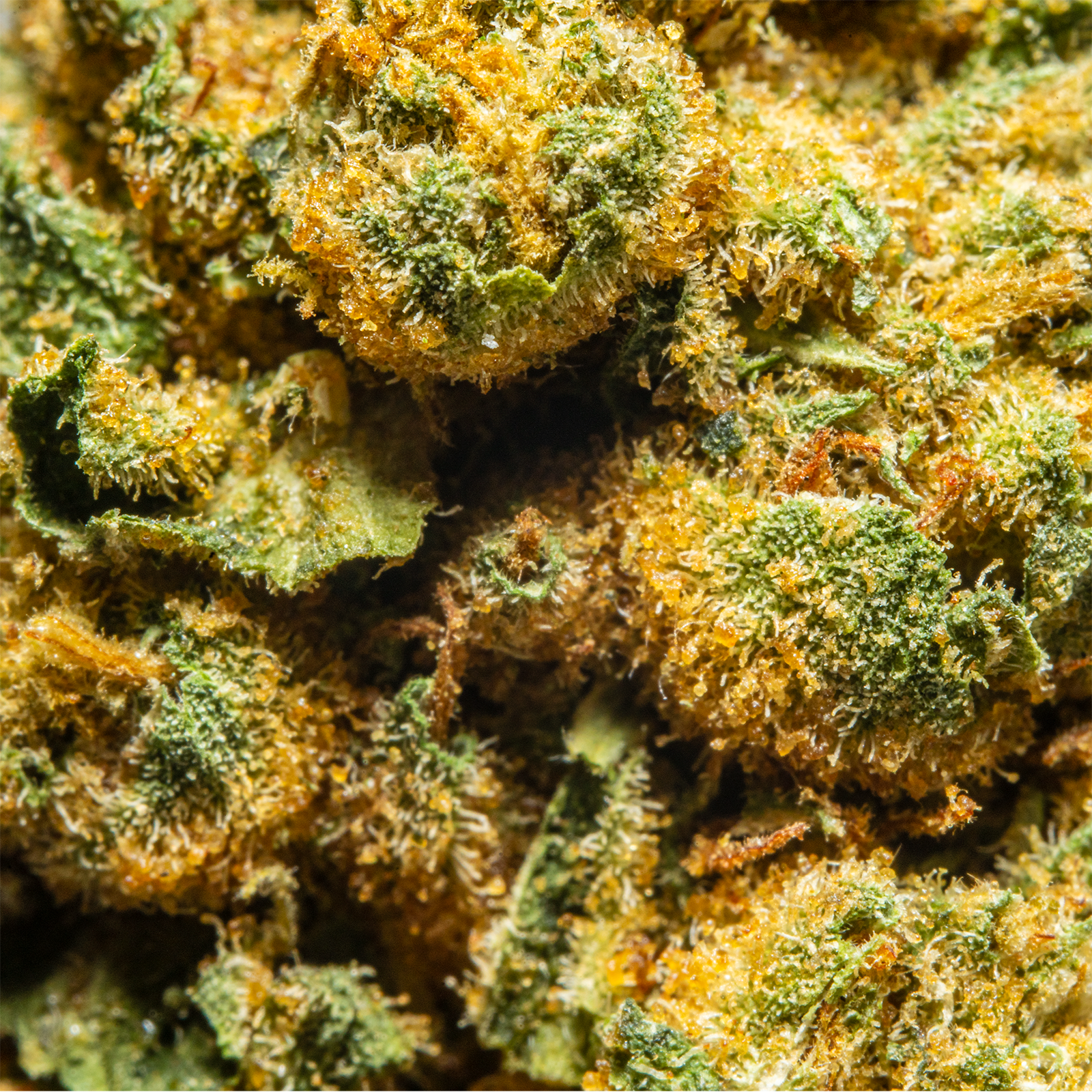 Mango Dream - Palms THCA Flower 3.5g