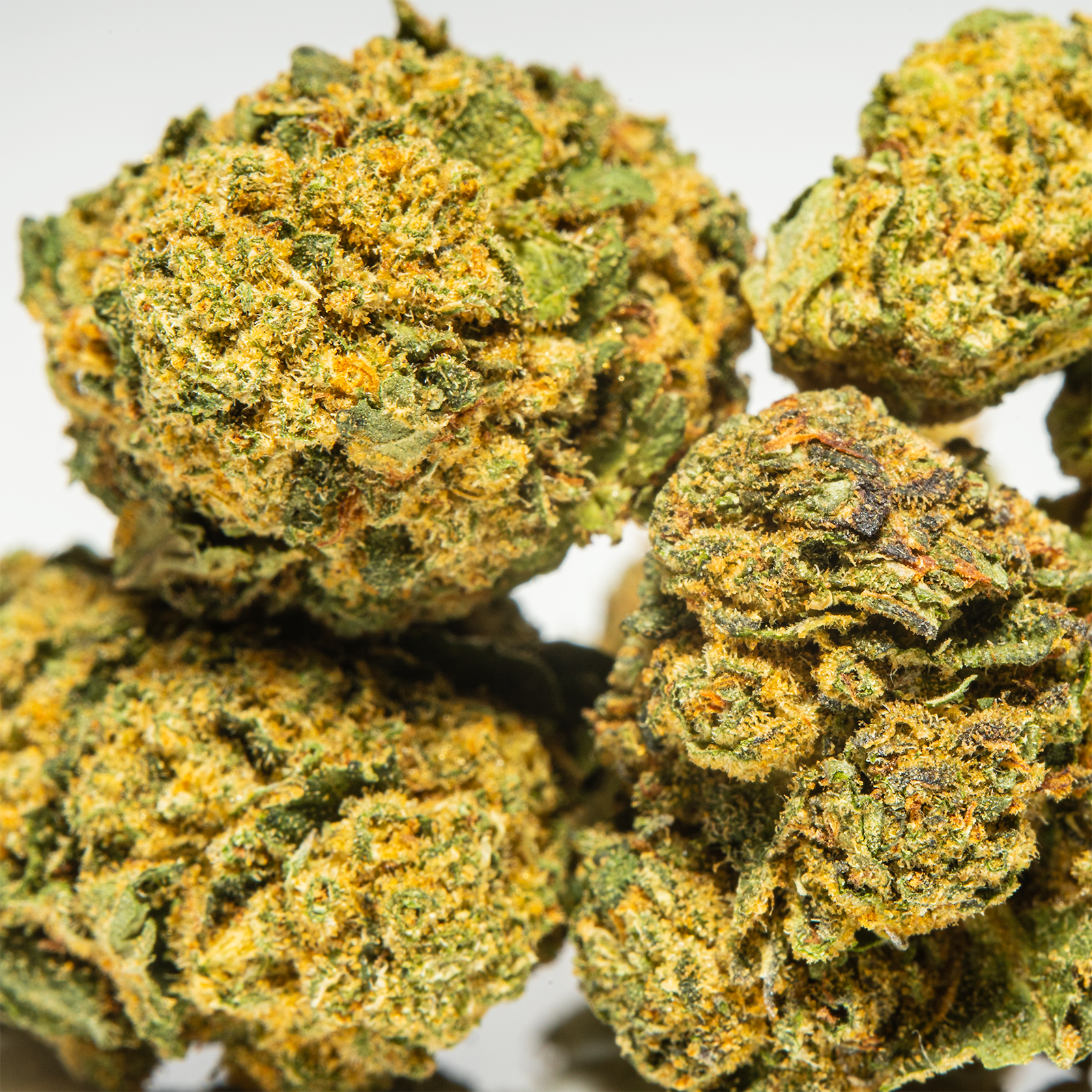 Mango Dream - Palms THCA Flower 3.5g