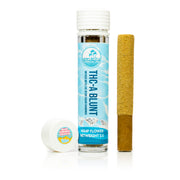 Palms Blue Cherry Gelato - Pre-Roll Blunt