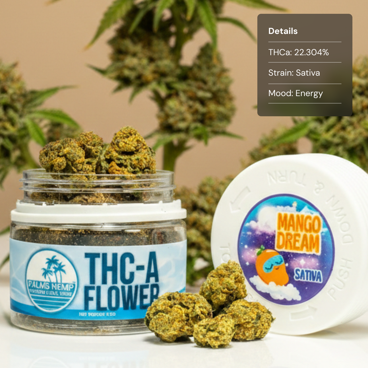 Palms Mango Dreams - Flower Mediums