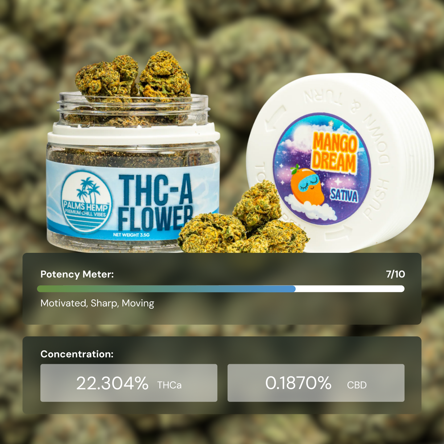 Palms Mango Dreams - Flower Mediums