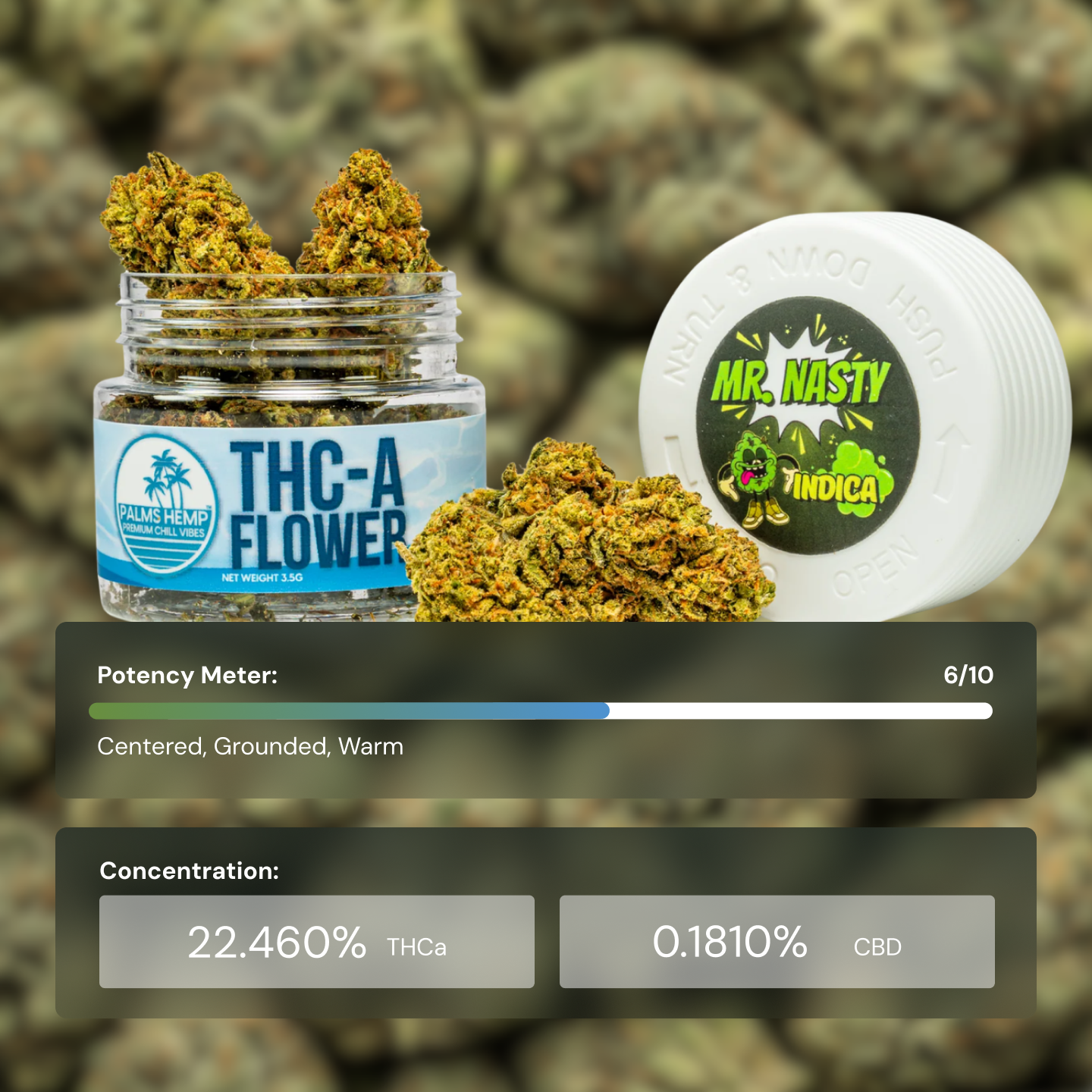 Palms Mr Nasty - Flower Mediums