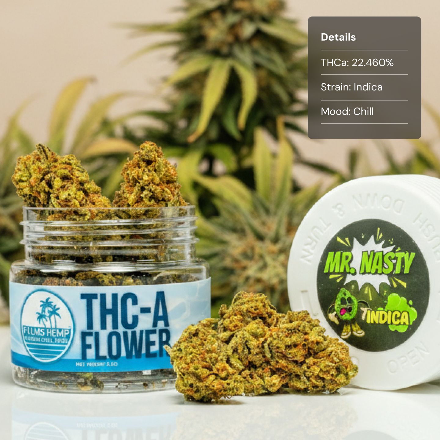 Palms Mr Nasty - Flower Mediums