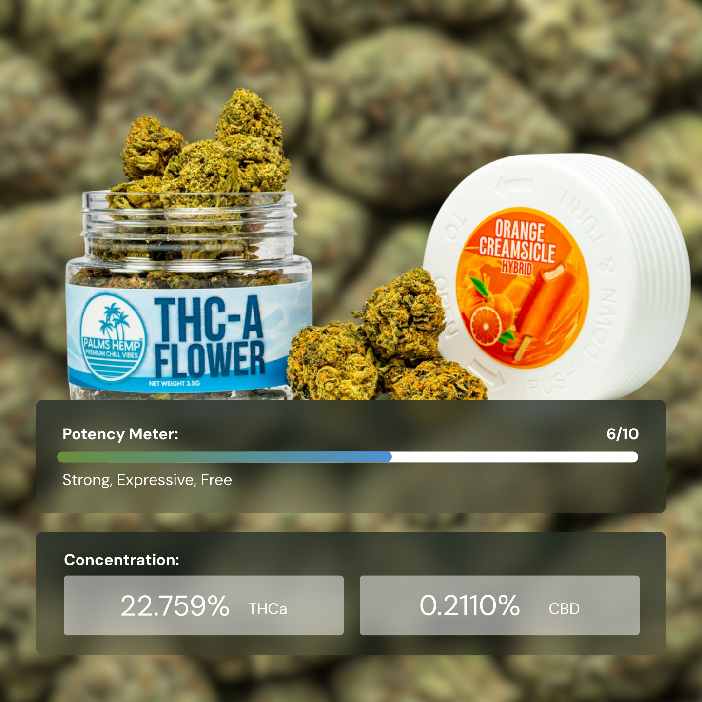 Palms Orange Creamsicle - Flower Mediums