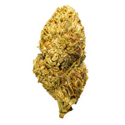 HHCA_Super_Flower_-_Forbidden_Fruit