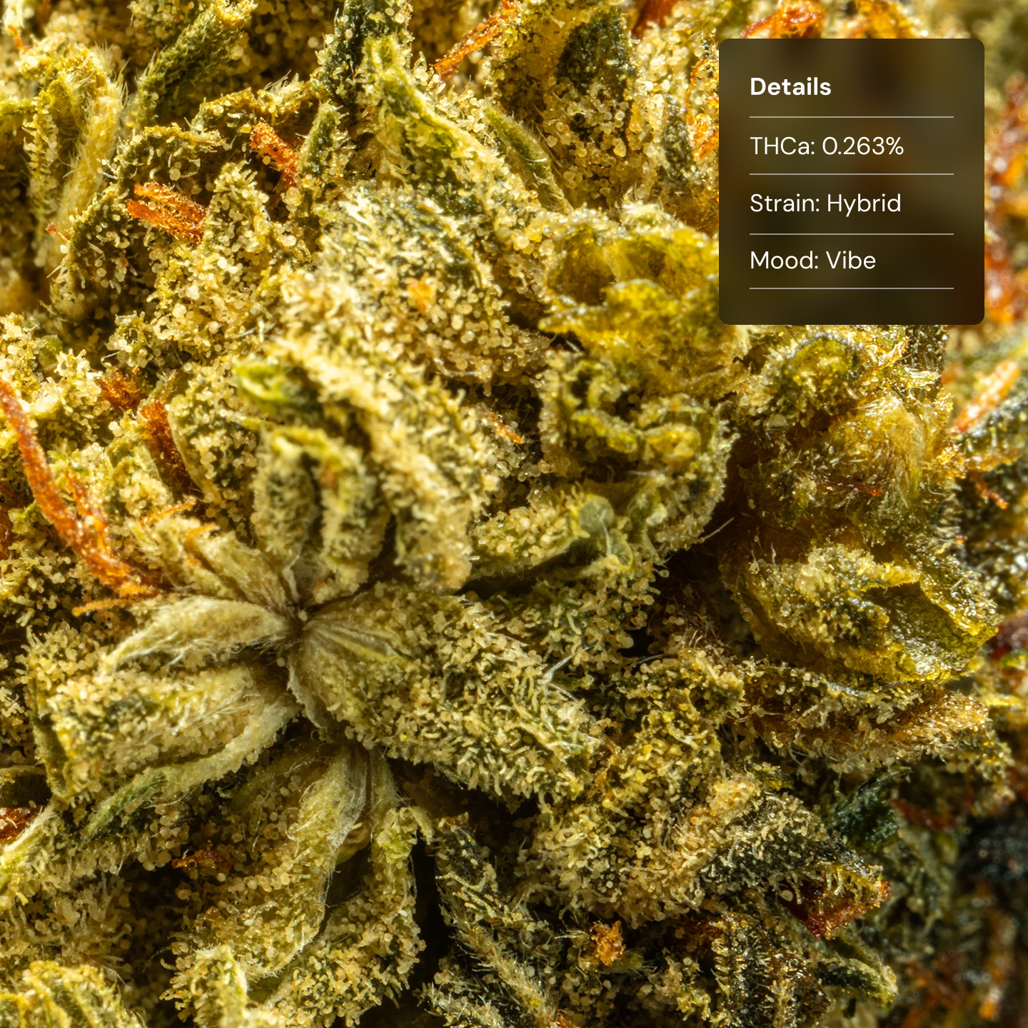 Stax Forbidden Fruit - HHCA Superflower Smalls