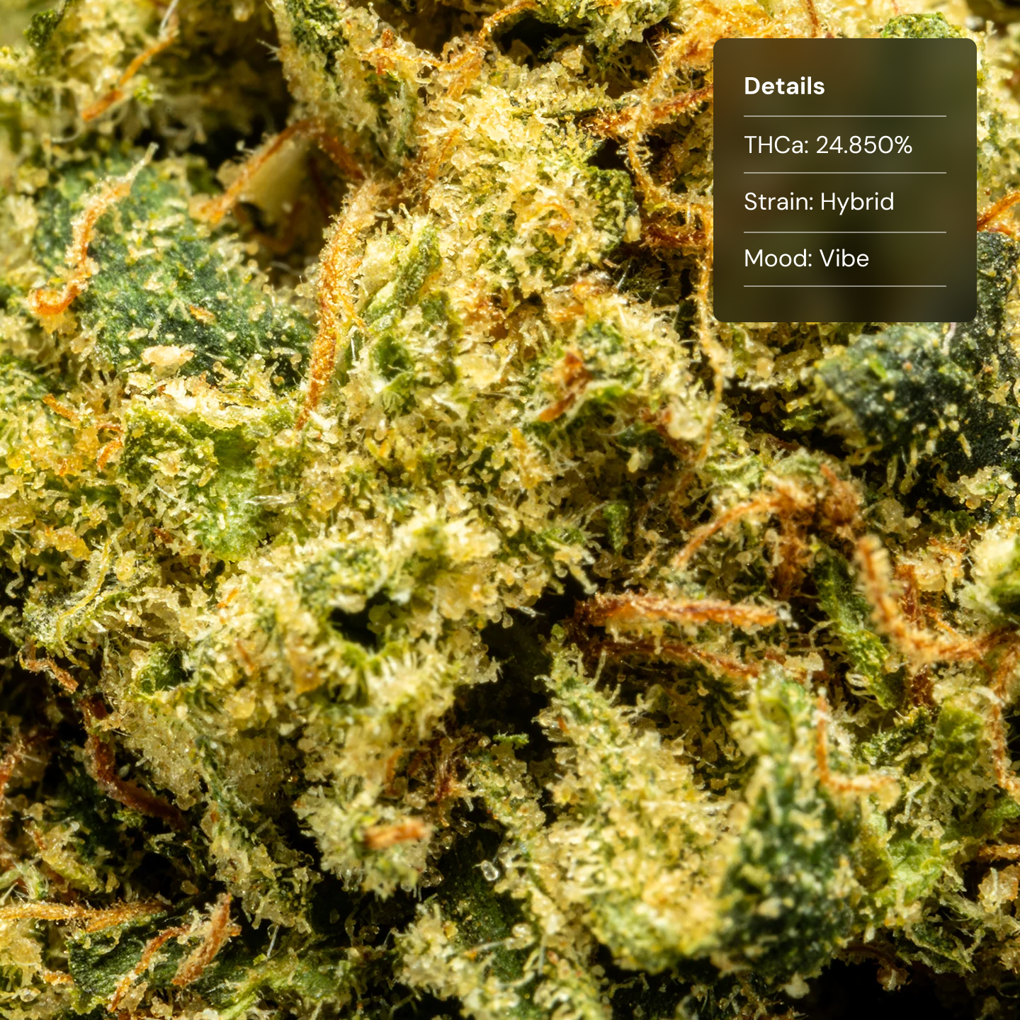 Stax Orange Cannoli - THCA Flower Smalls