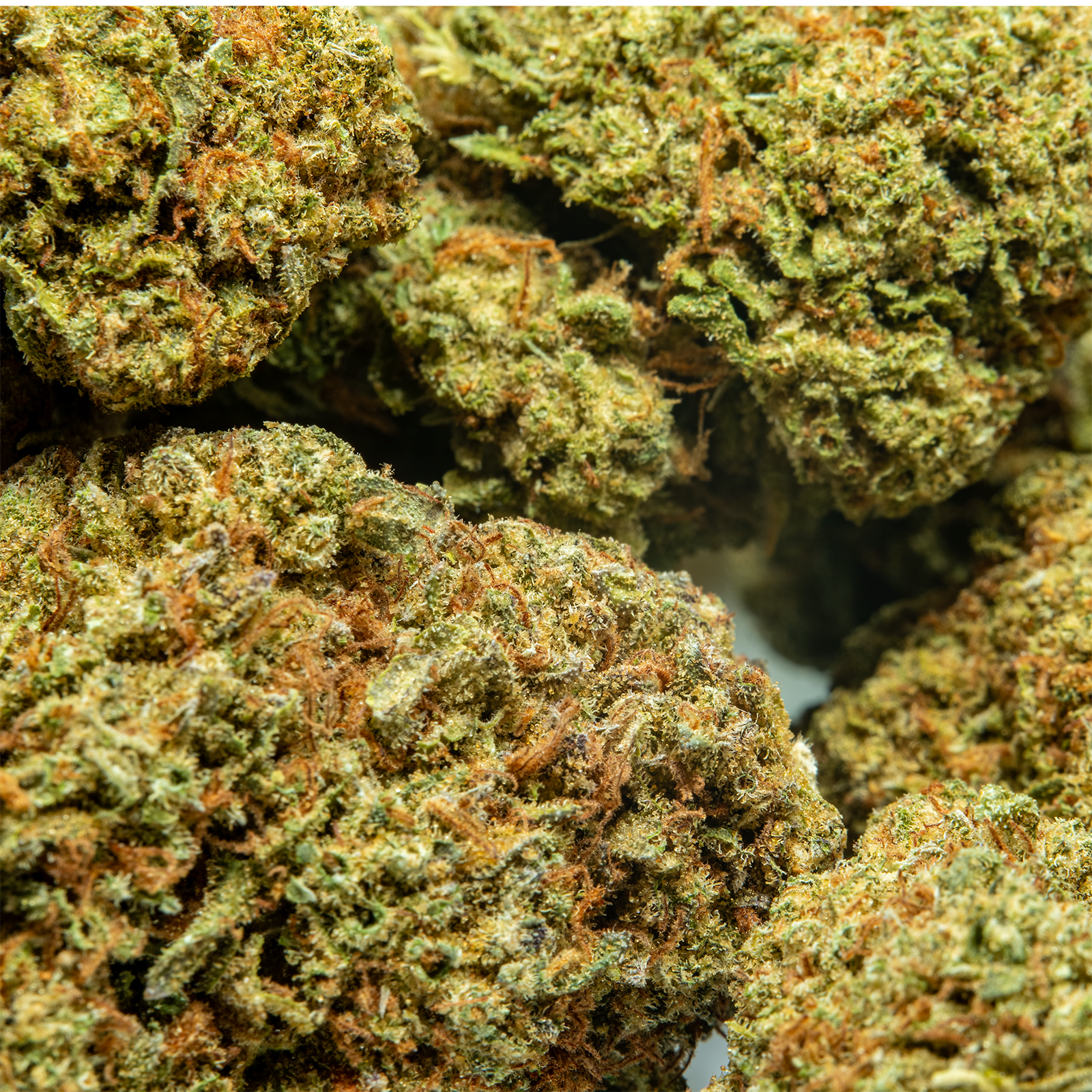 THCA_Flower_-_Snowcap
