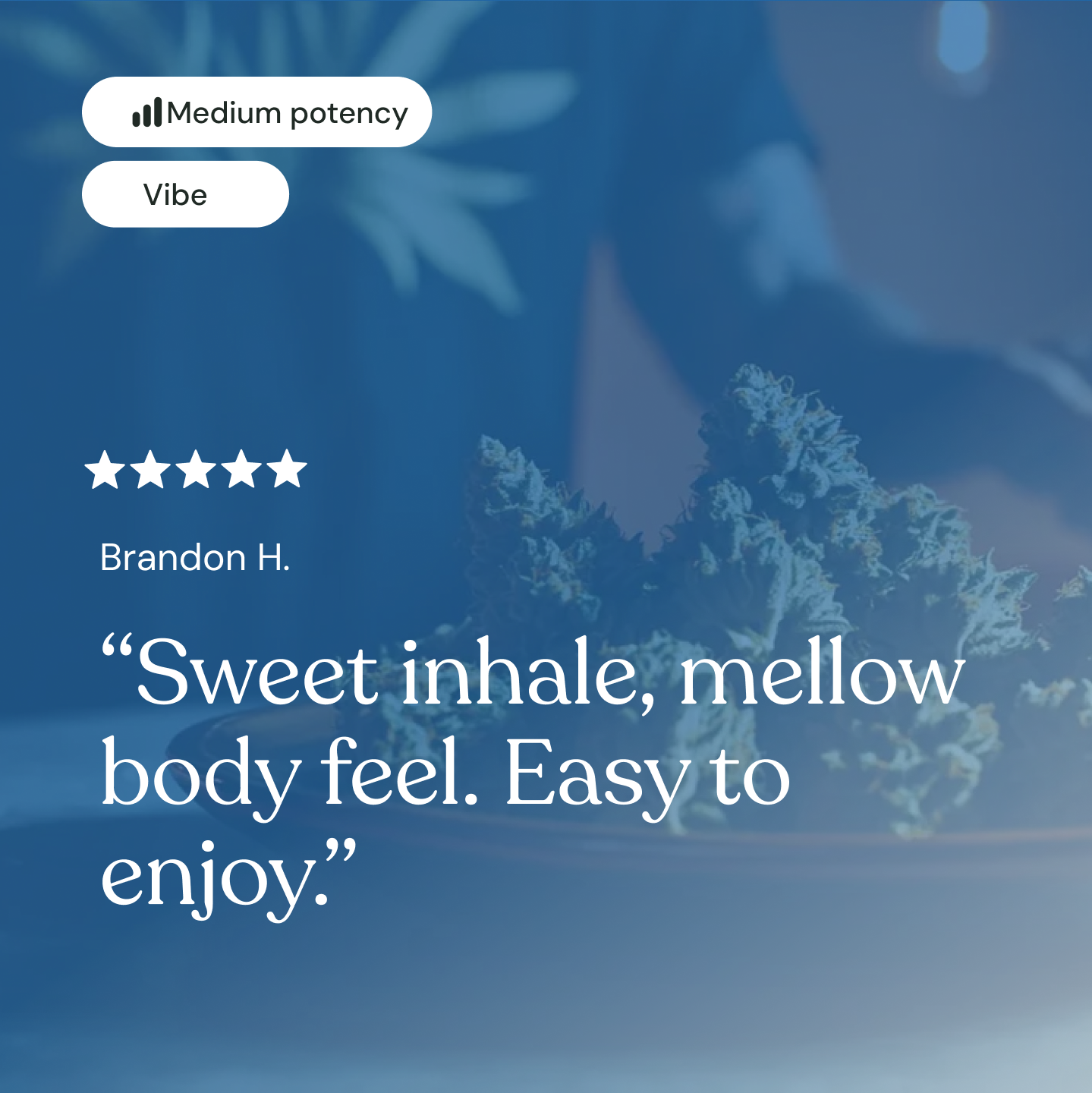 Top Jar Lime Skunk - Flower Bigs