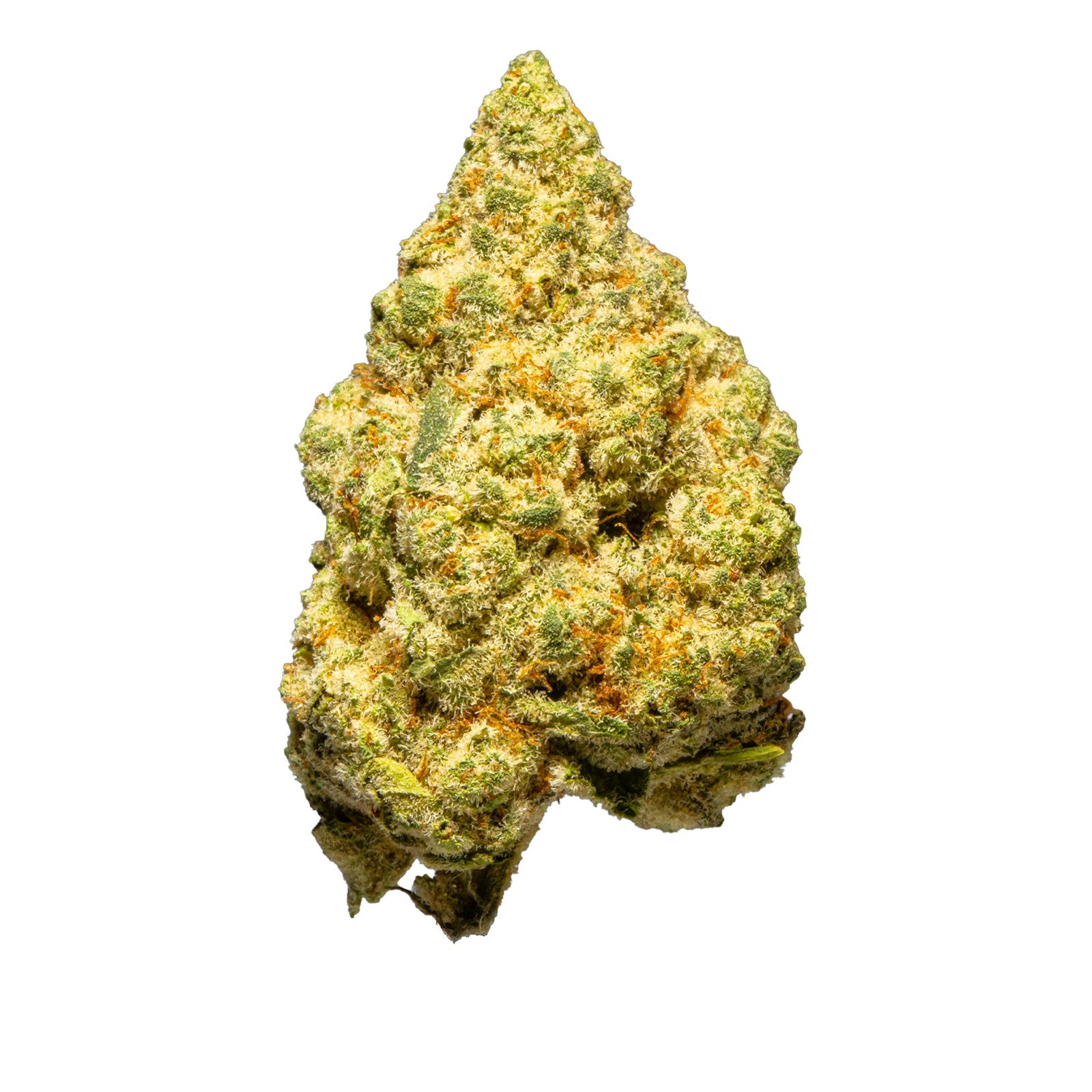 Top Jar Cheetah Piss - Flower Bigs