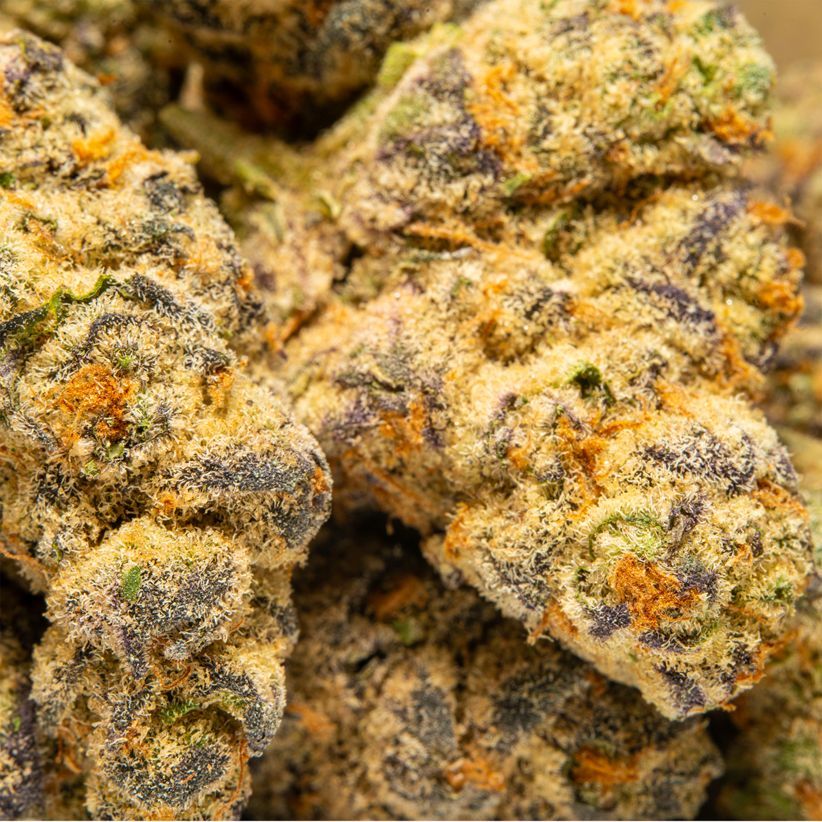 Top Jar Gas Monkey - Flower Bigs