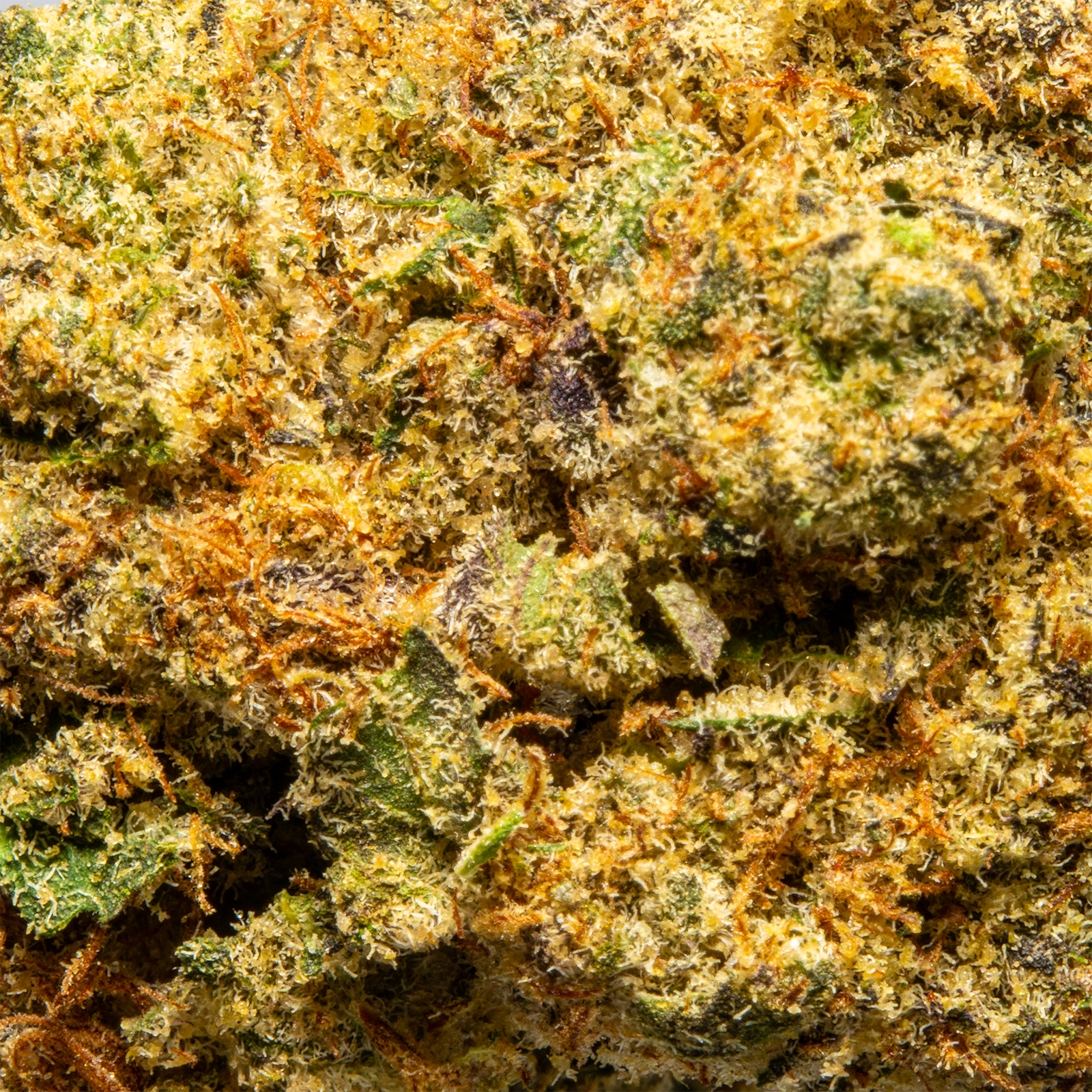 Top Jar Jokerz Candy - Flower Bigs